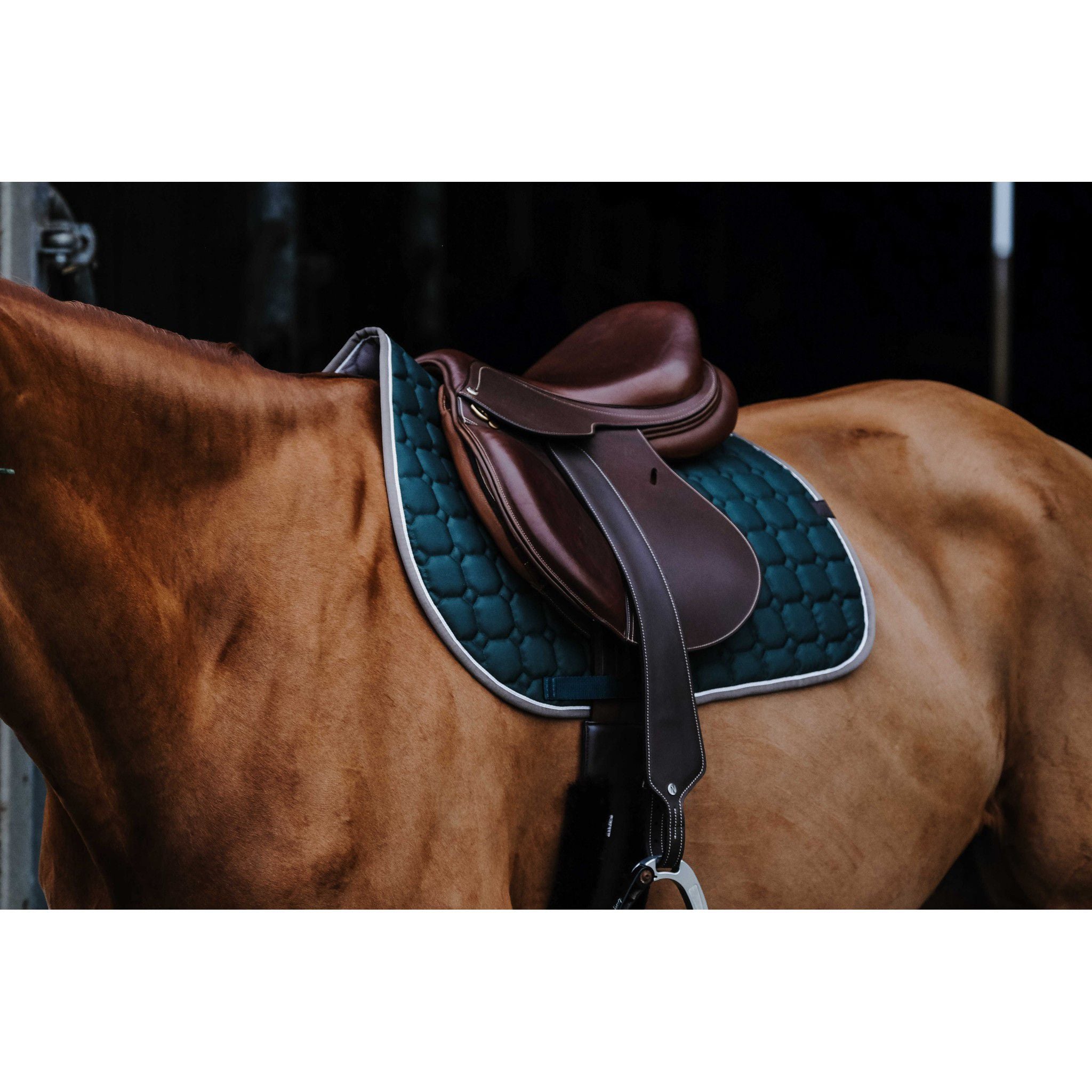EQUITHÈME Orion saddle pad - All purpose Dark green 204774008