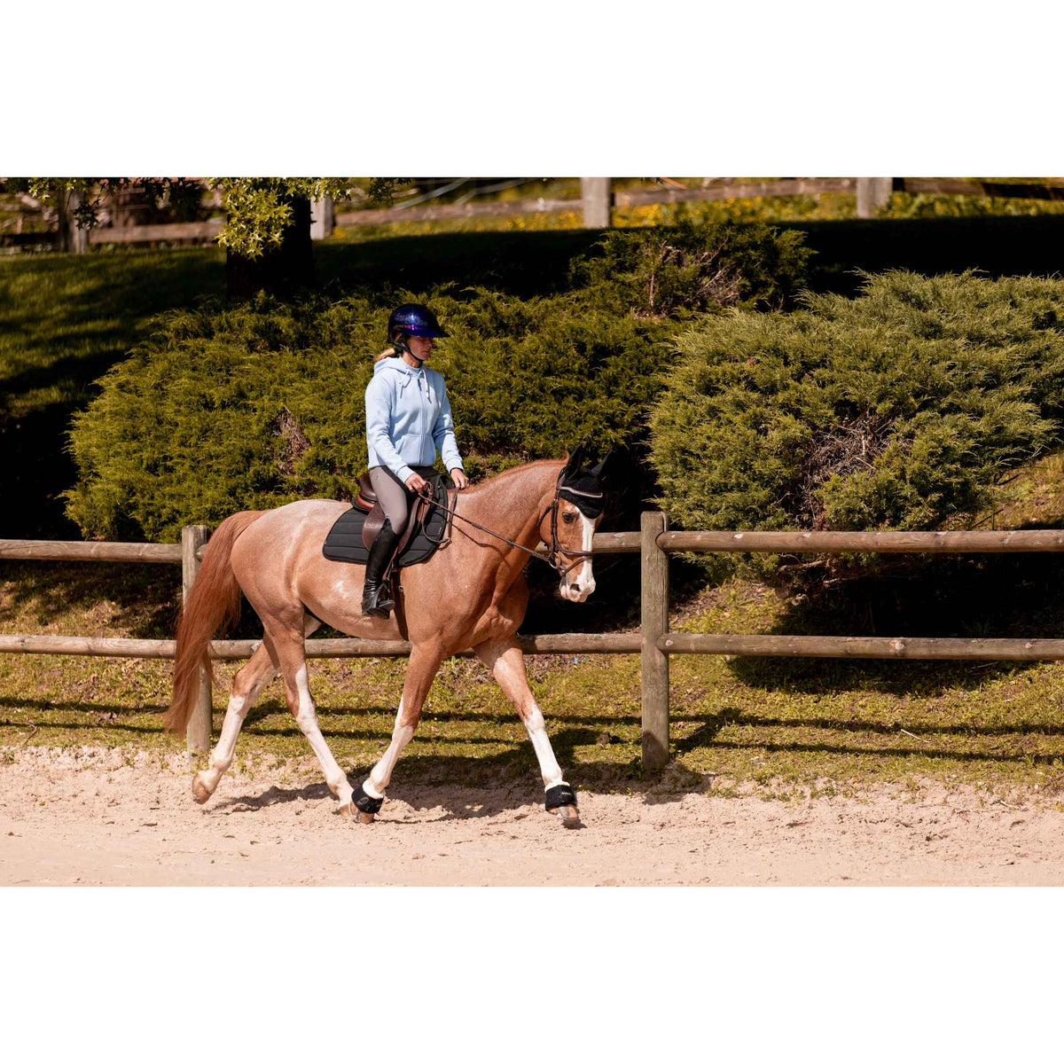 K by EQUITHÈME K-Karim Sweatshirt - Adult - Light blue - 963224123_ambi_1
