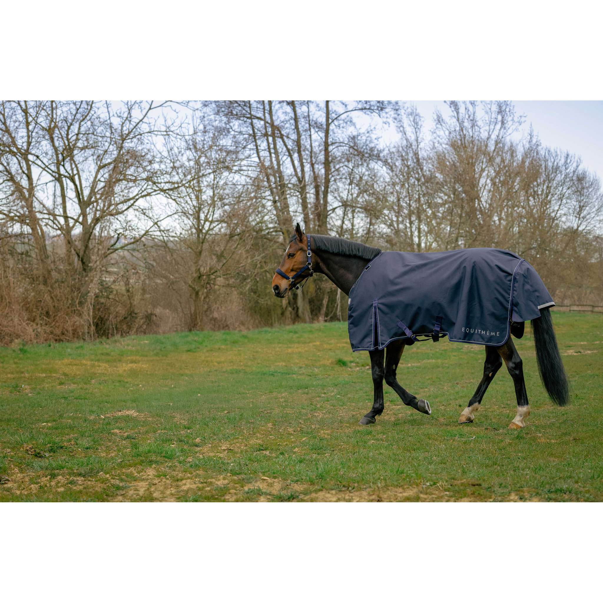 EQUITHÈME Outdoor Sheet 0g  – Anatomic Aisance 1200D Navy blue 400576763