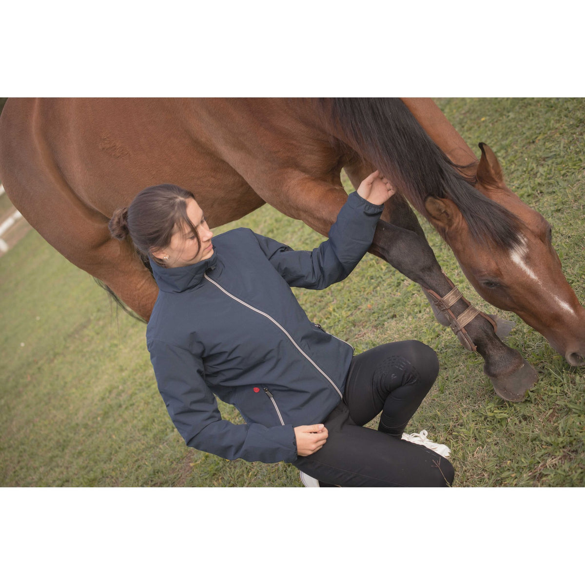 Paddock Sports Laffitte Jacket - Adult - Navy blue - 978008070_ambi_6