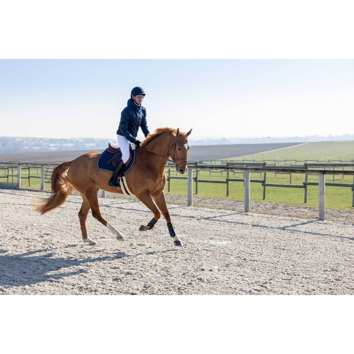 Pro Series Diagonal Show Coat - Men - Navy blue - 978651073_ambi_1