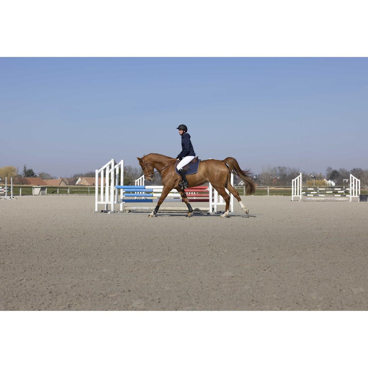 Pro Series Diagonal Show Coat - Men - Navy blue - 978651073_ambi_5