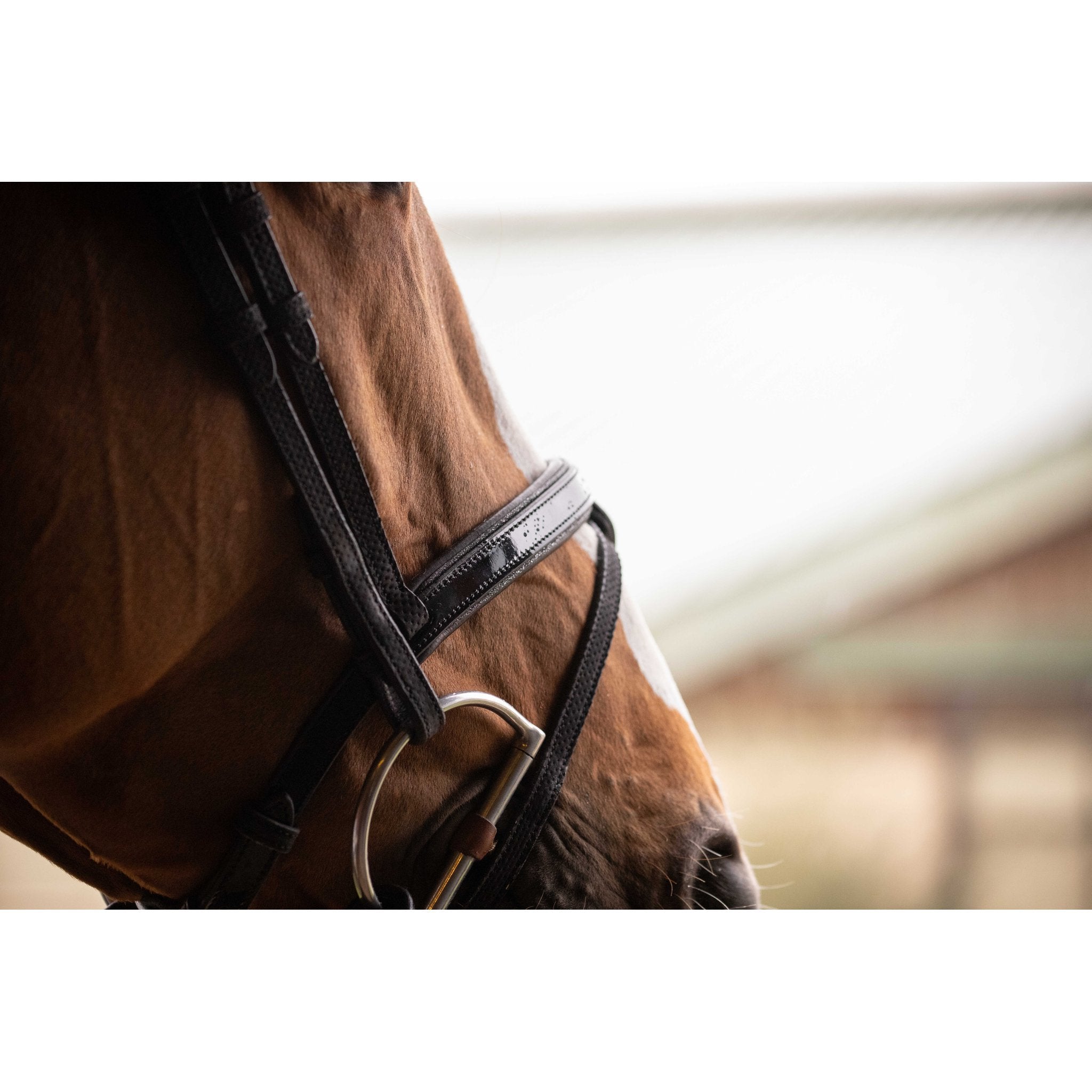Penelope Oxford Bridle Black - 301608302_ambi_5