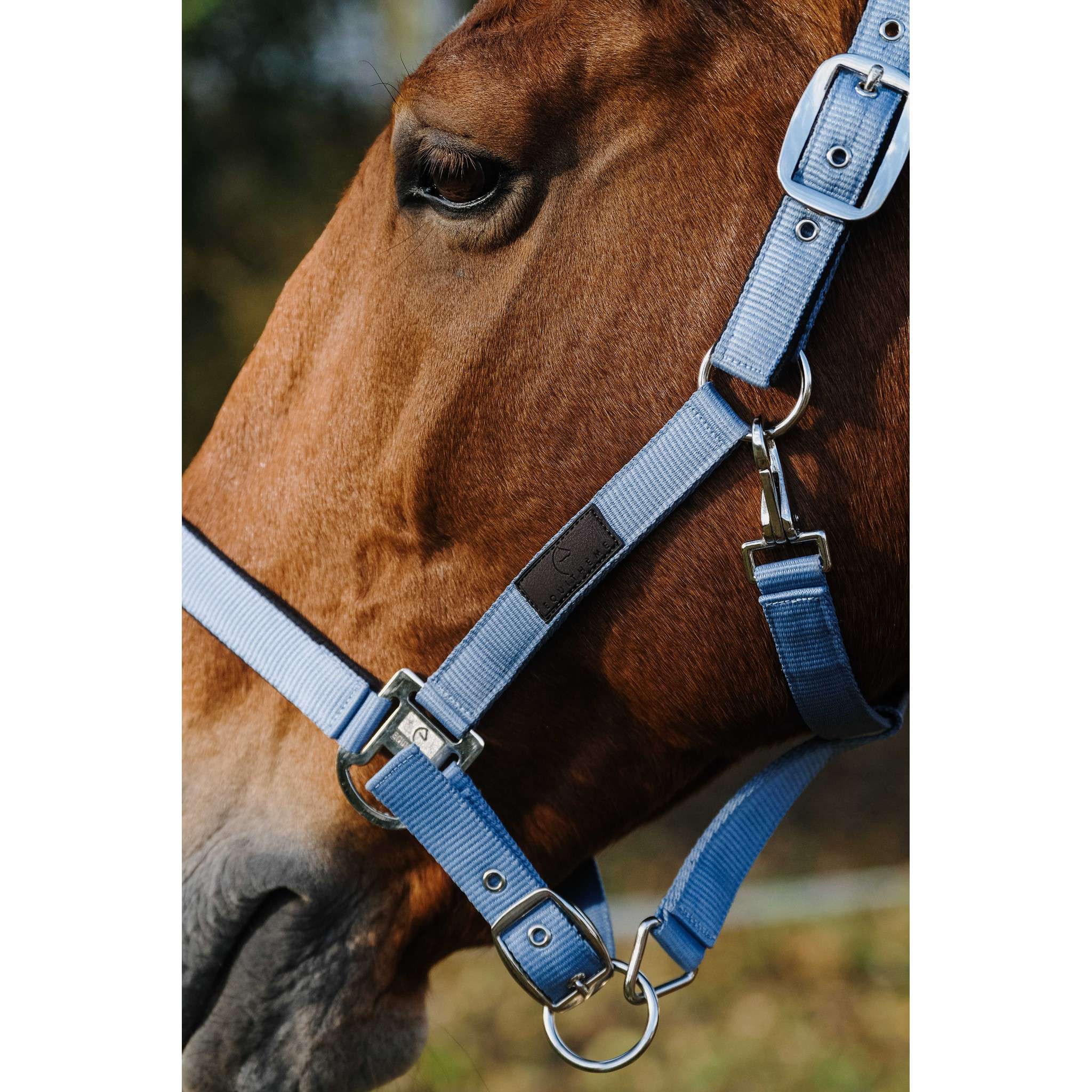 EQUITHÈME Spring Halter Blue 510257006