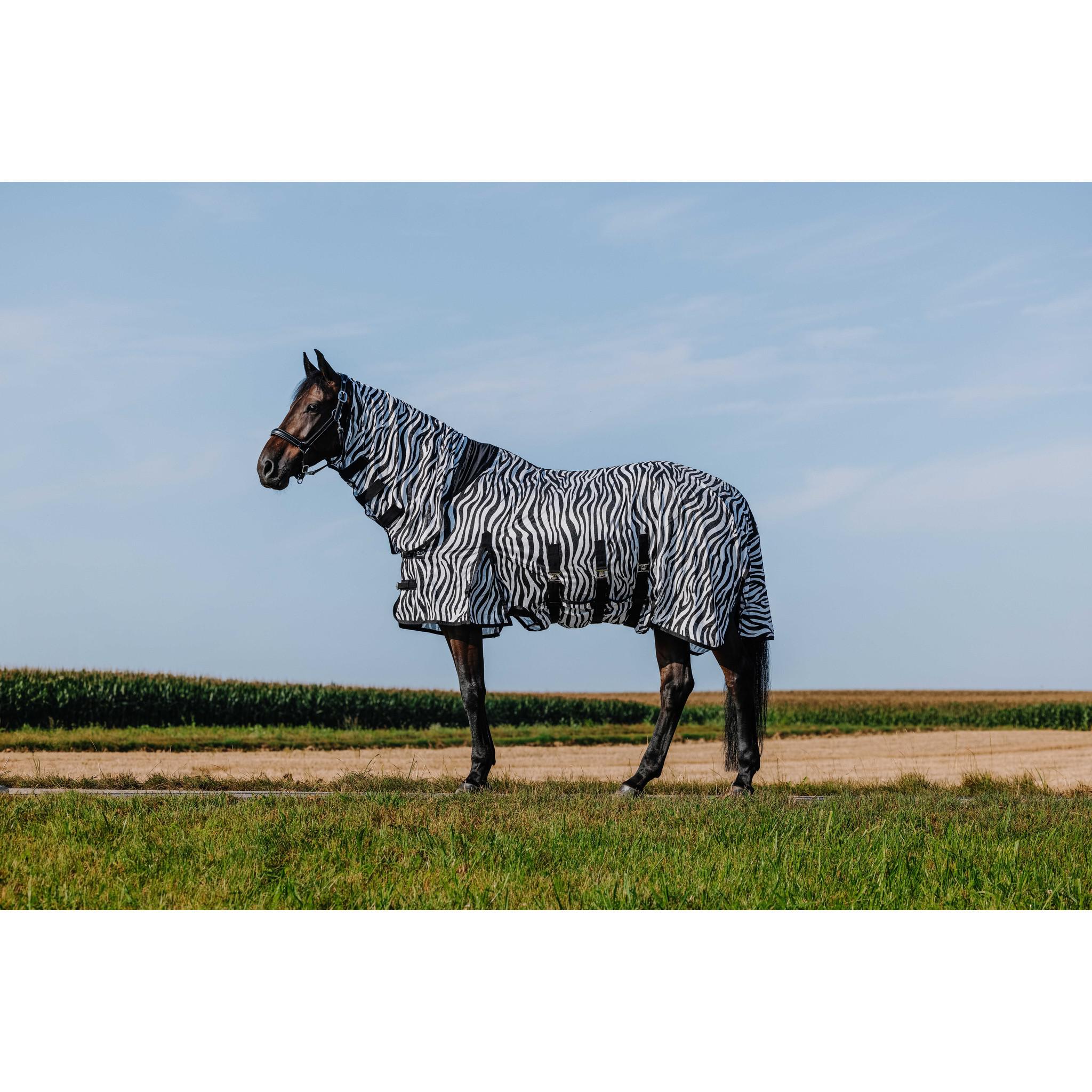 Riding World Belly Mesh Sheet - Combo Zebra 400726063