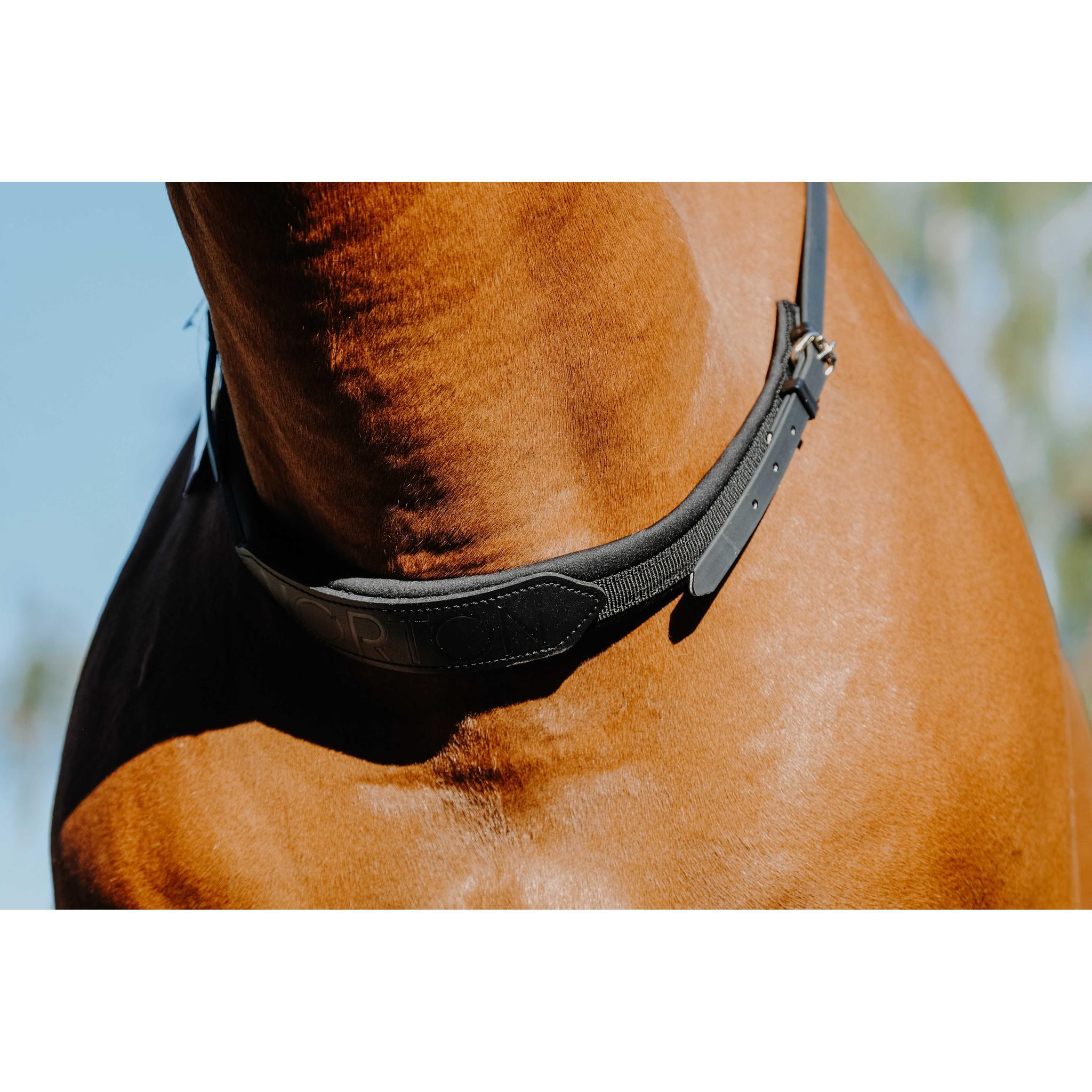 Norton Neck Collar Black 306591002