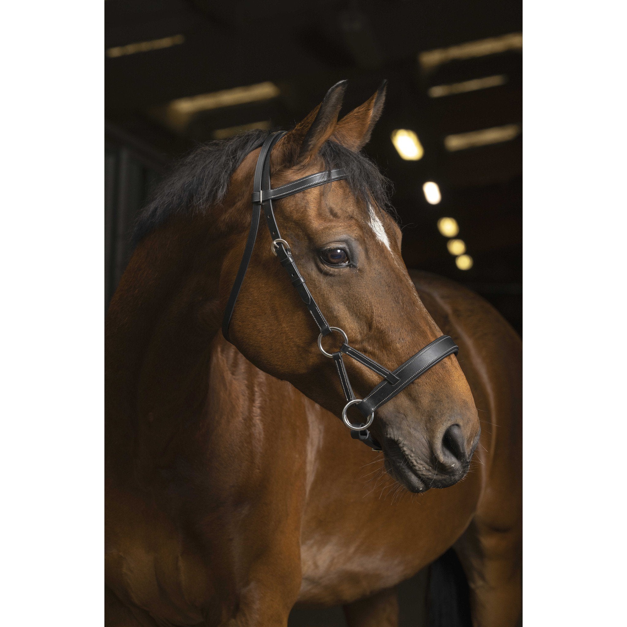 Norton Pro Confort Side-Pull Black 301889302