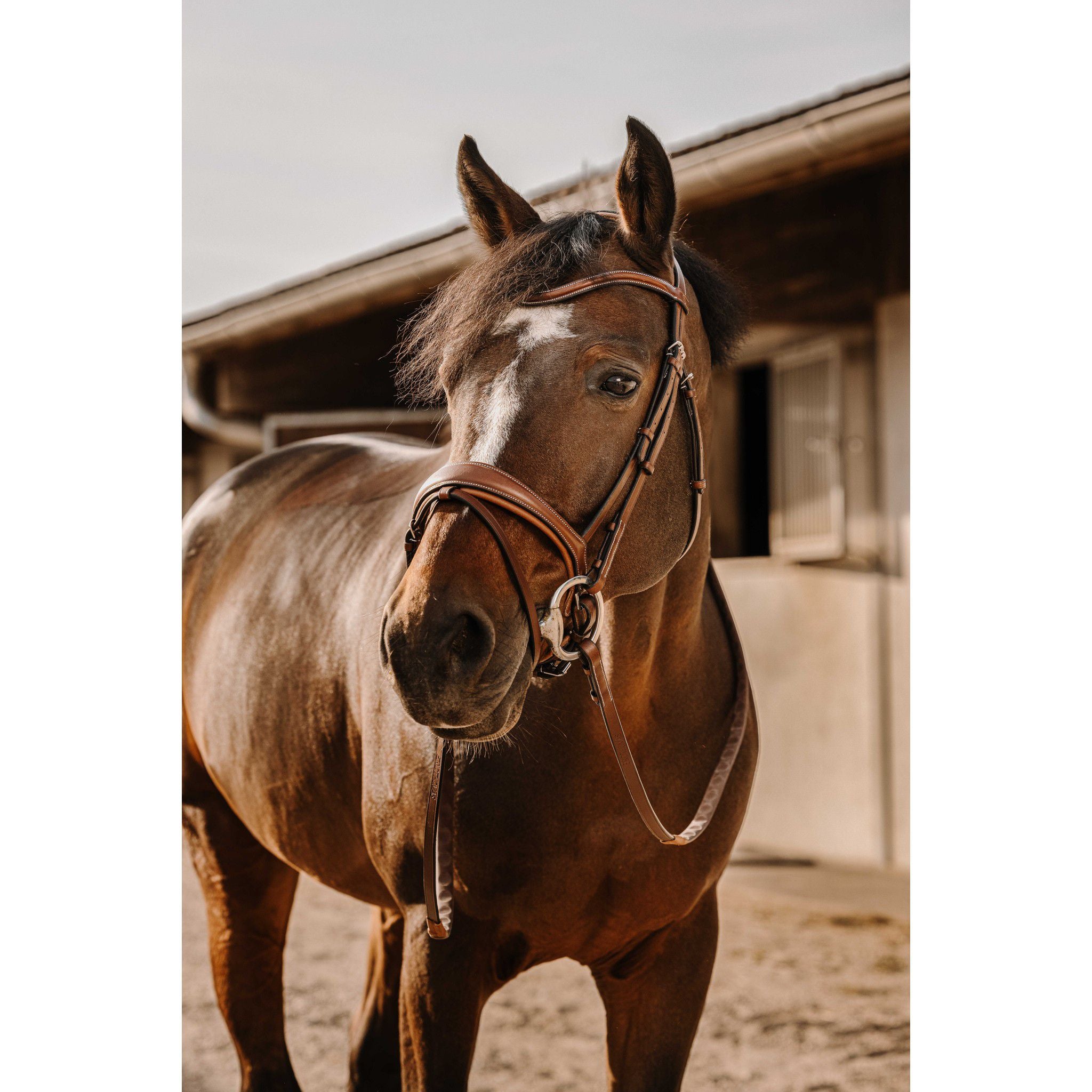 Éric Thomas Digit Rubber Reins Havana 305659318