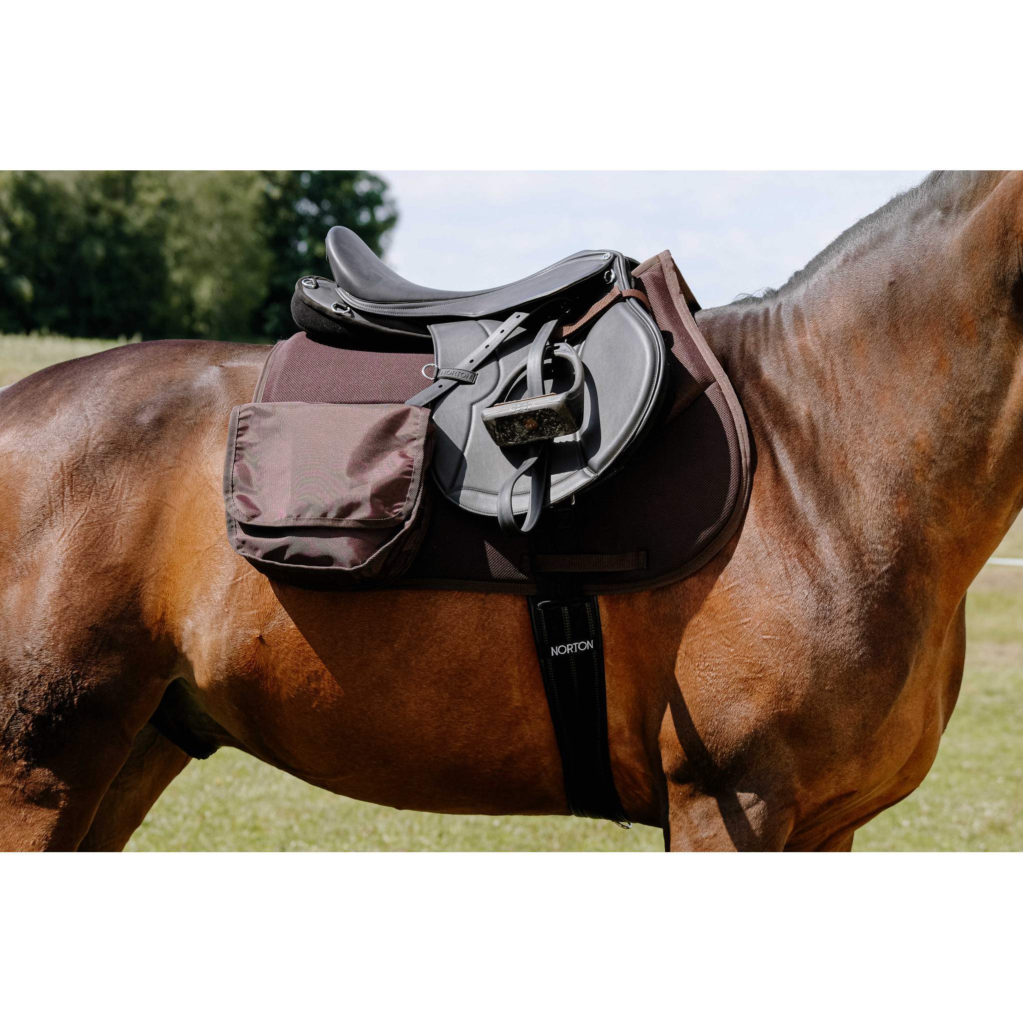 Randol's Mesh Trail pad Brown 204481304