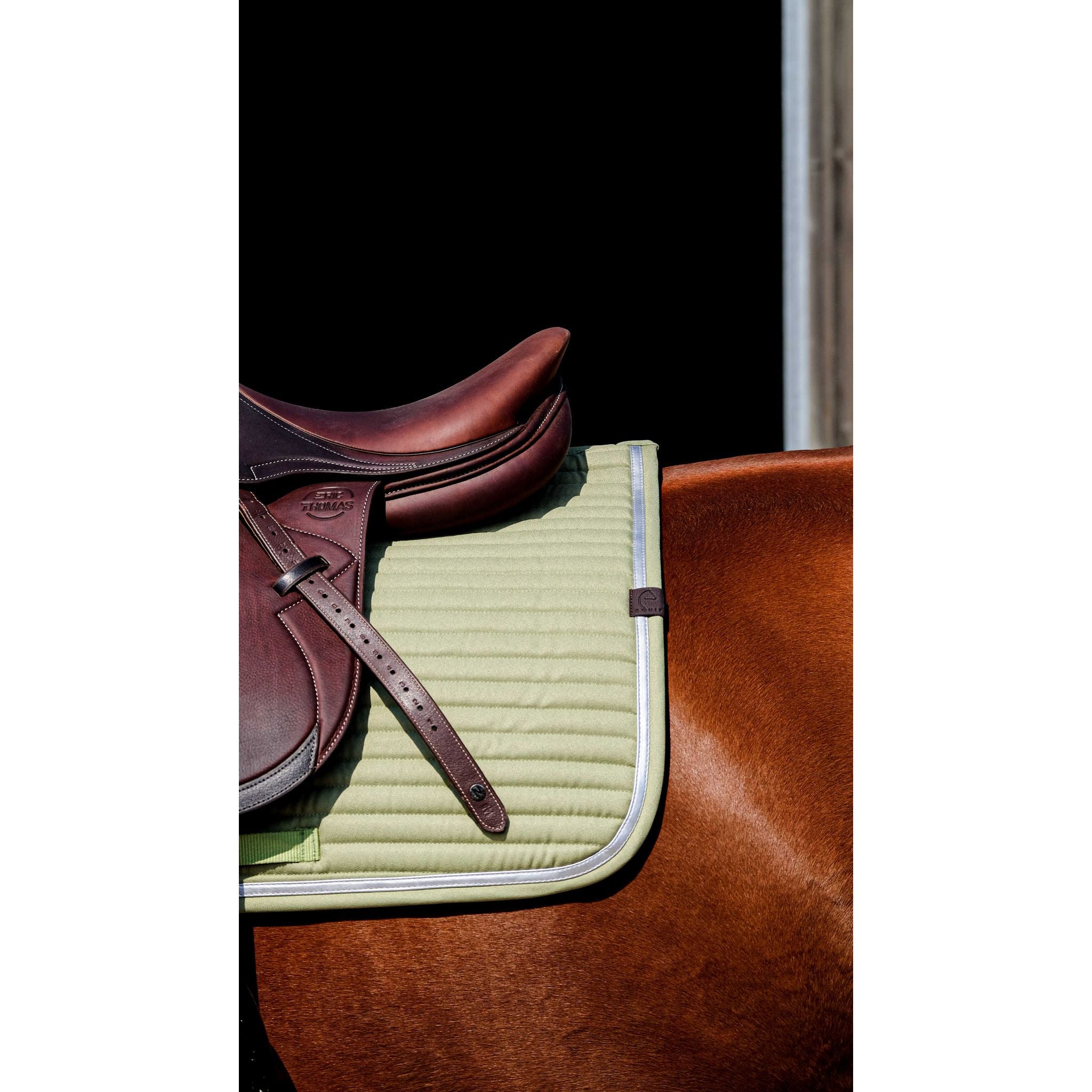 EQUITHÈME Spring All-Purpose Saddle Pad Light green - 204781008_ambi_2
