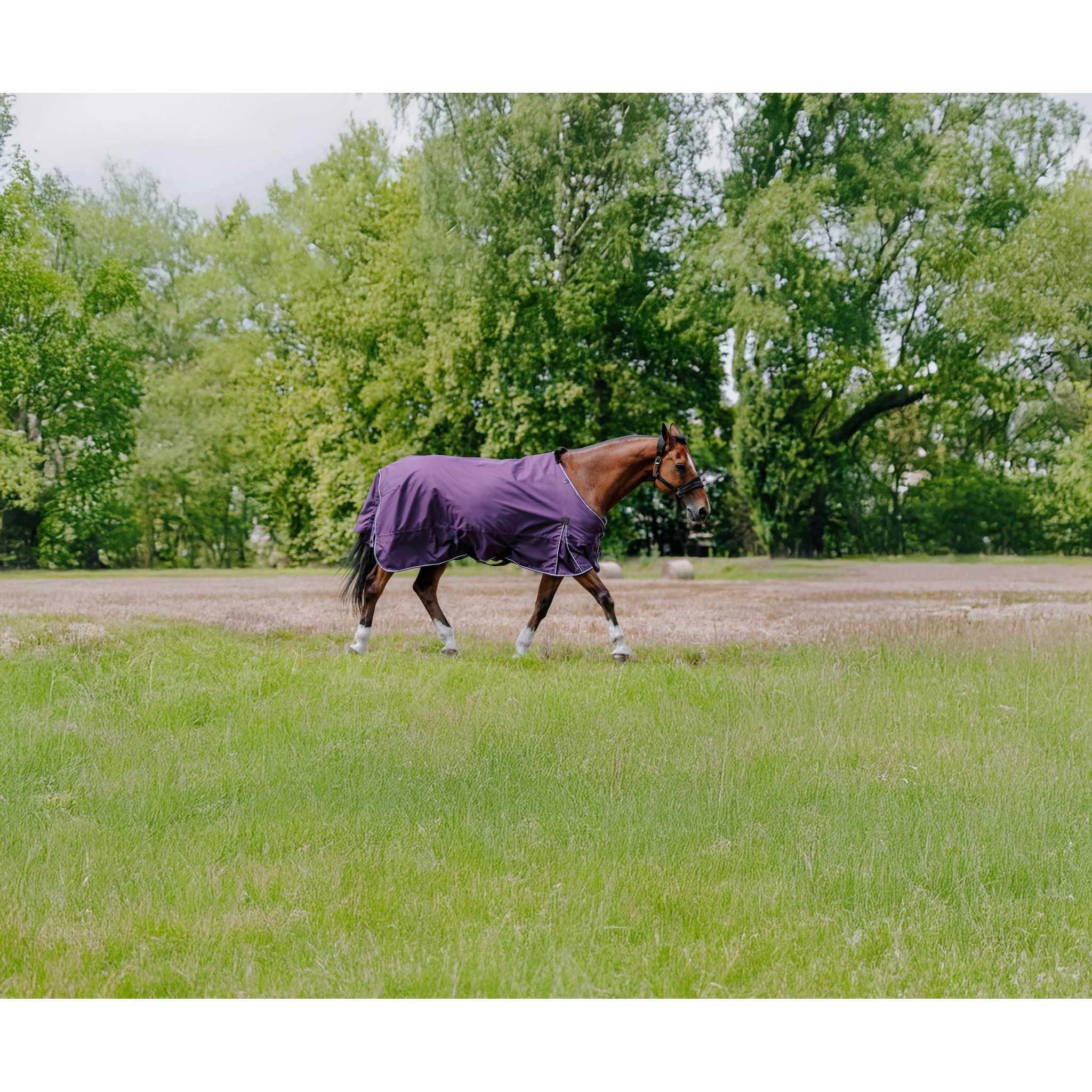 EQUITHÈME Tyrex 600D Aisance Turnout Rug - Standard Plum 400562163