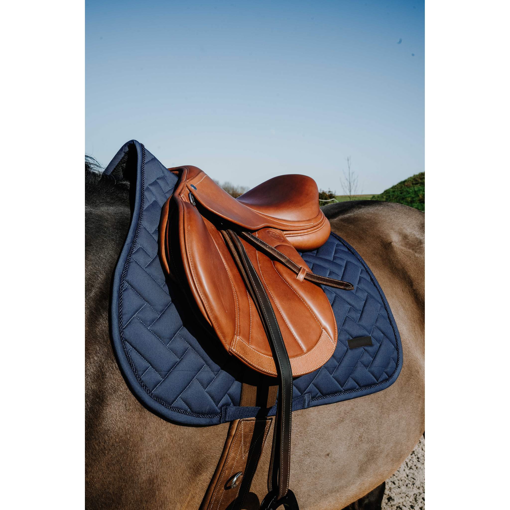 EQUITHÈME Starlet All-Purpose Saddle Pad Navy blue - 204027007_ambi_2