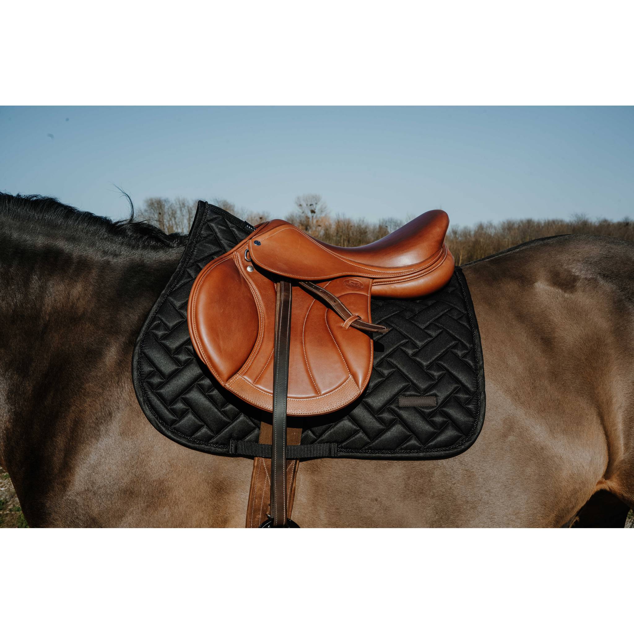 EQUITHÈME Starlet All-Purpose Saddle Pad Black - 204027002_ambi_1