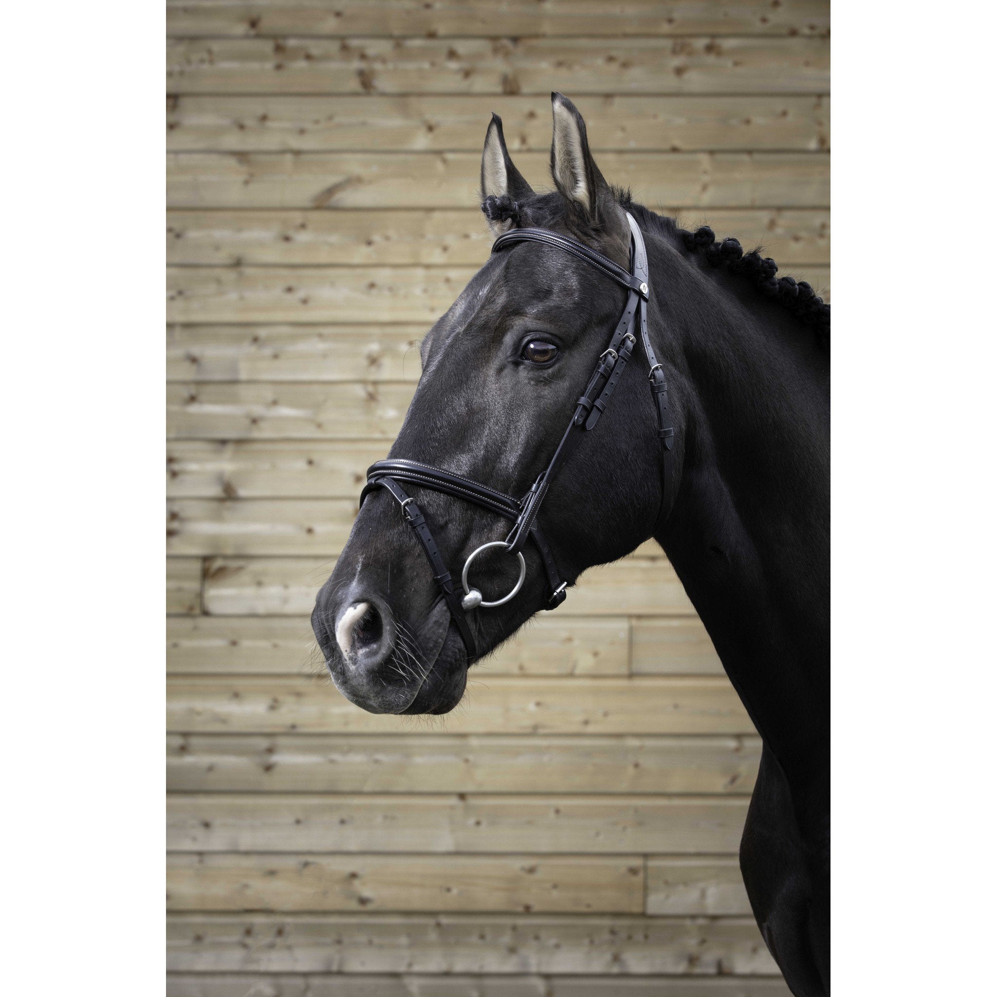 Norton Pro Fin Bridle Black 301827302
