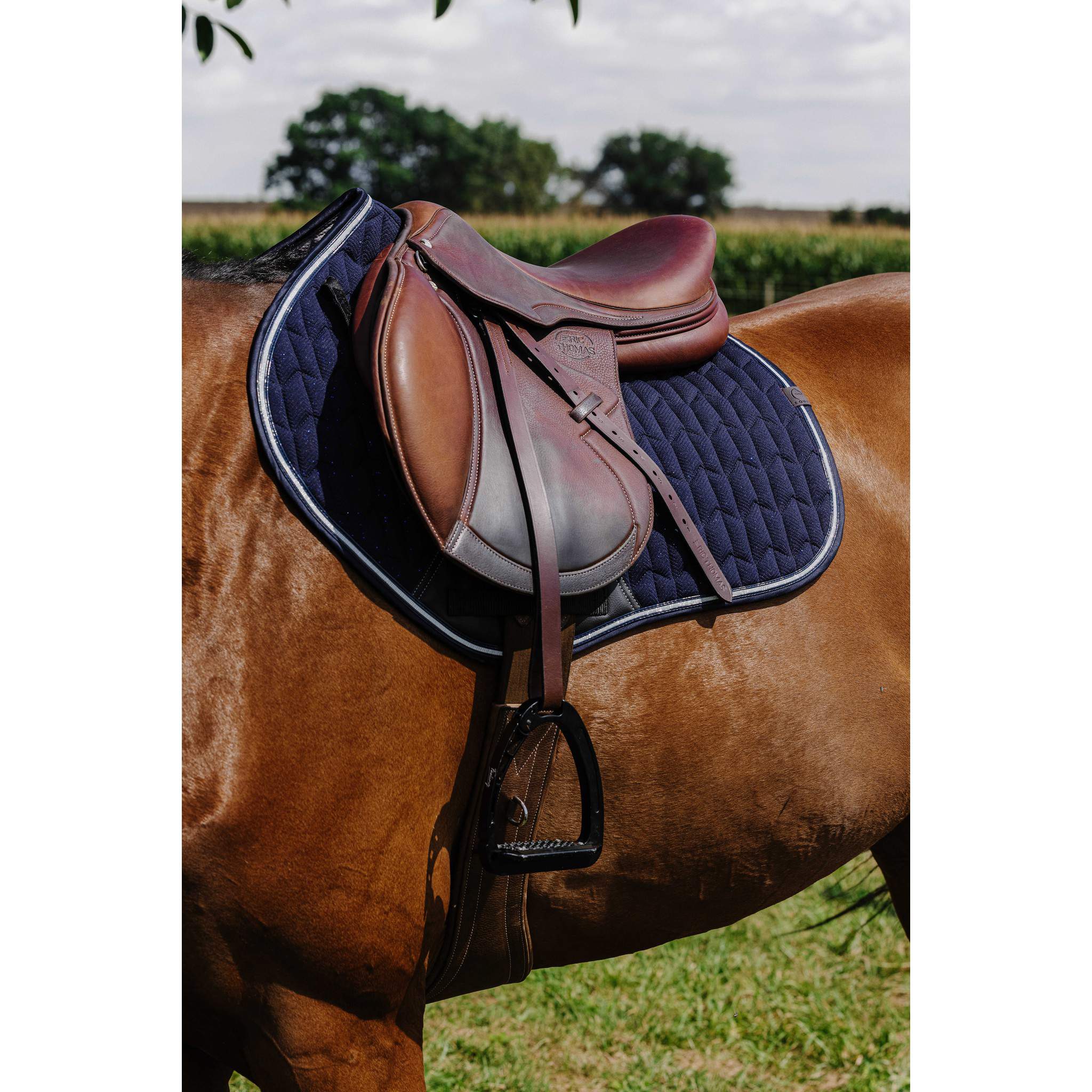 EQUITHÈME Éclat Saddle Pad - All purpose Navy blue 204008007