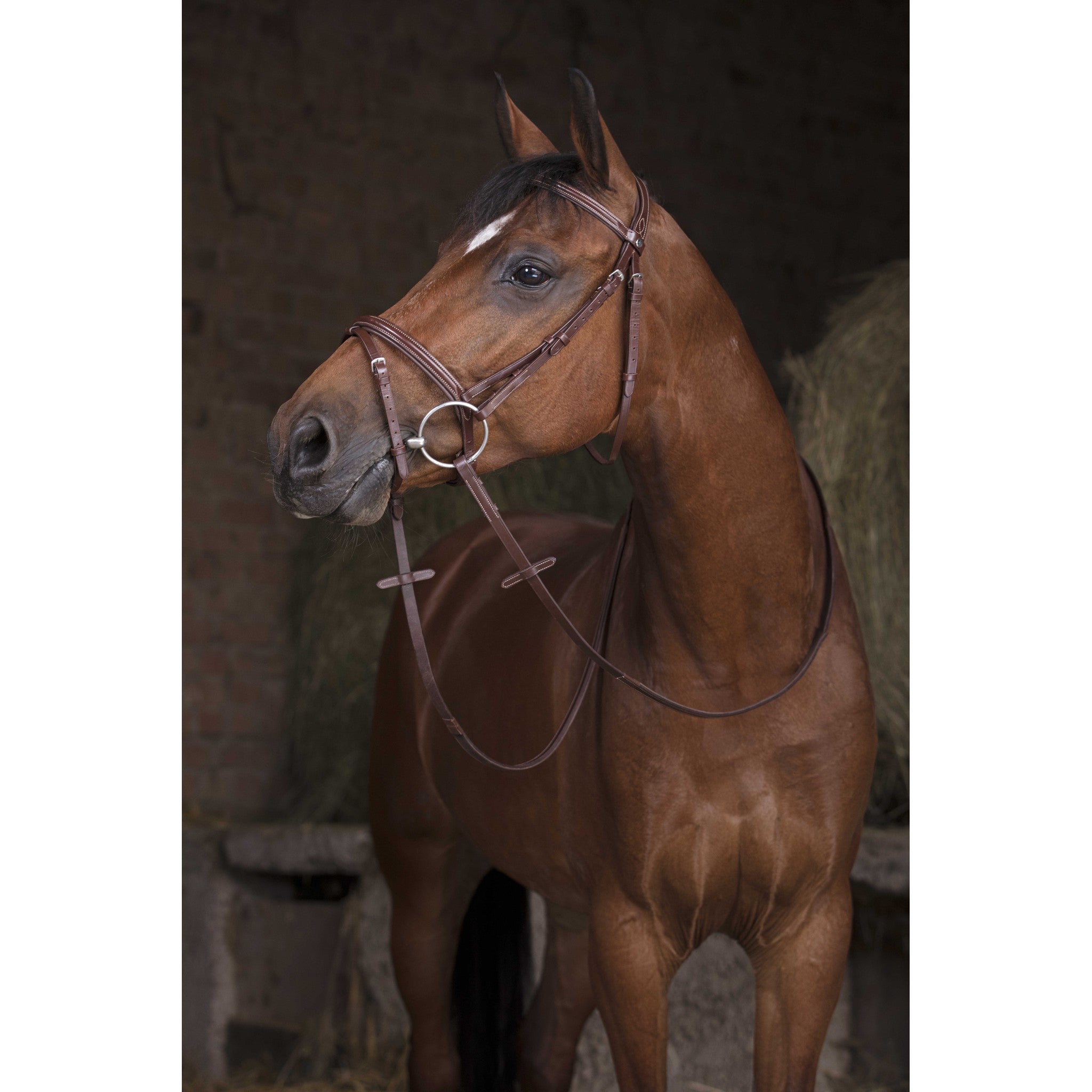 Norton Pro Hunter reins Havana 305641318