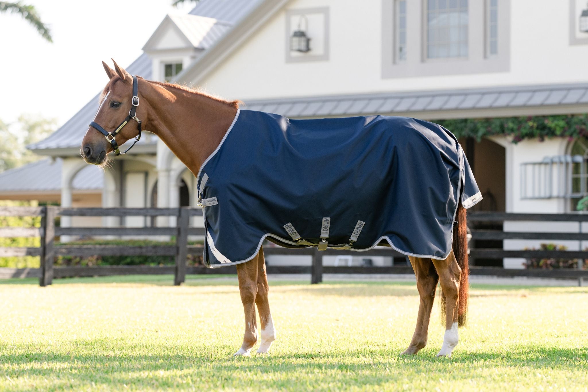 Horseware Amigo 1200D V-Front Rug Navy blue
