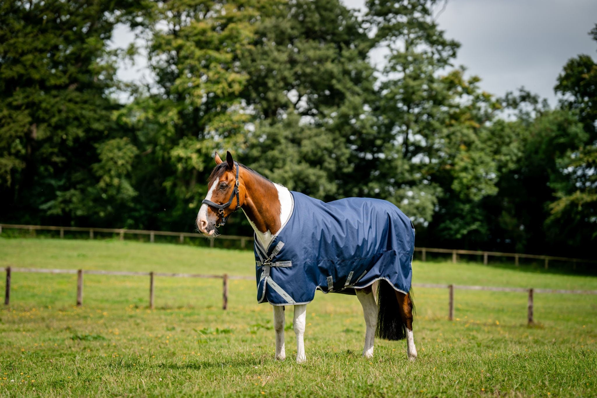Horseware Amigo 1200D V-Front Rug Navy blue