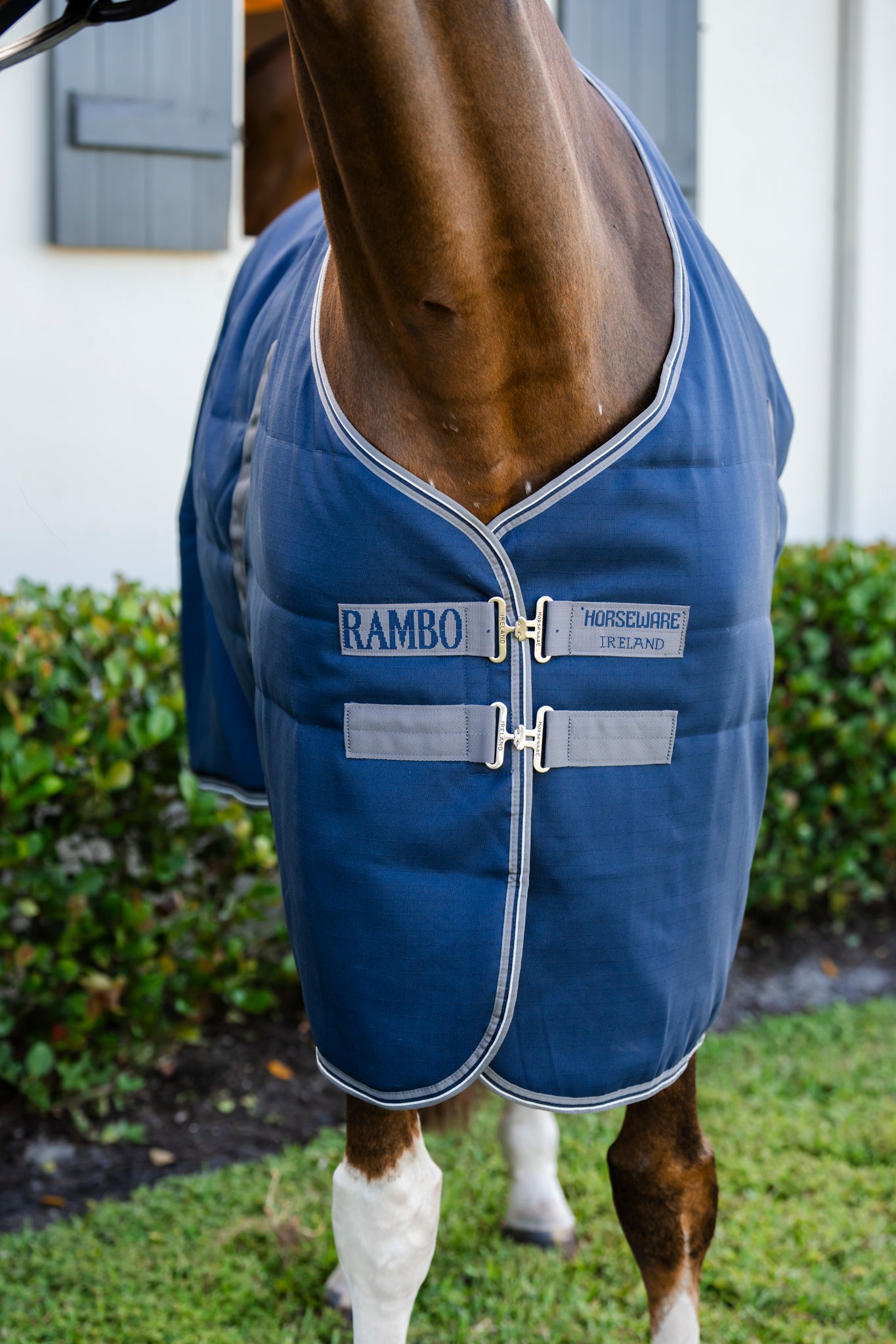 Horseware Rambo Rug Navy blue/grey