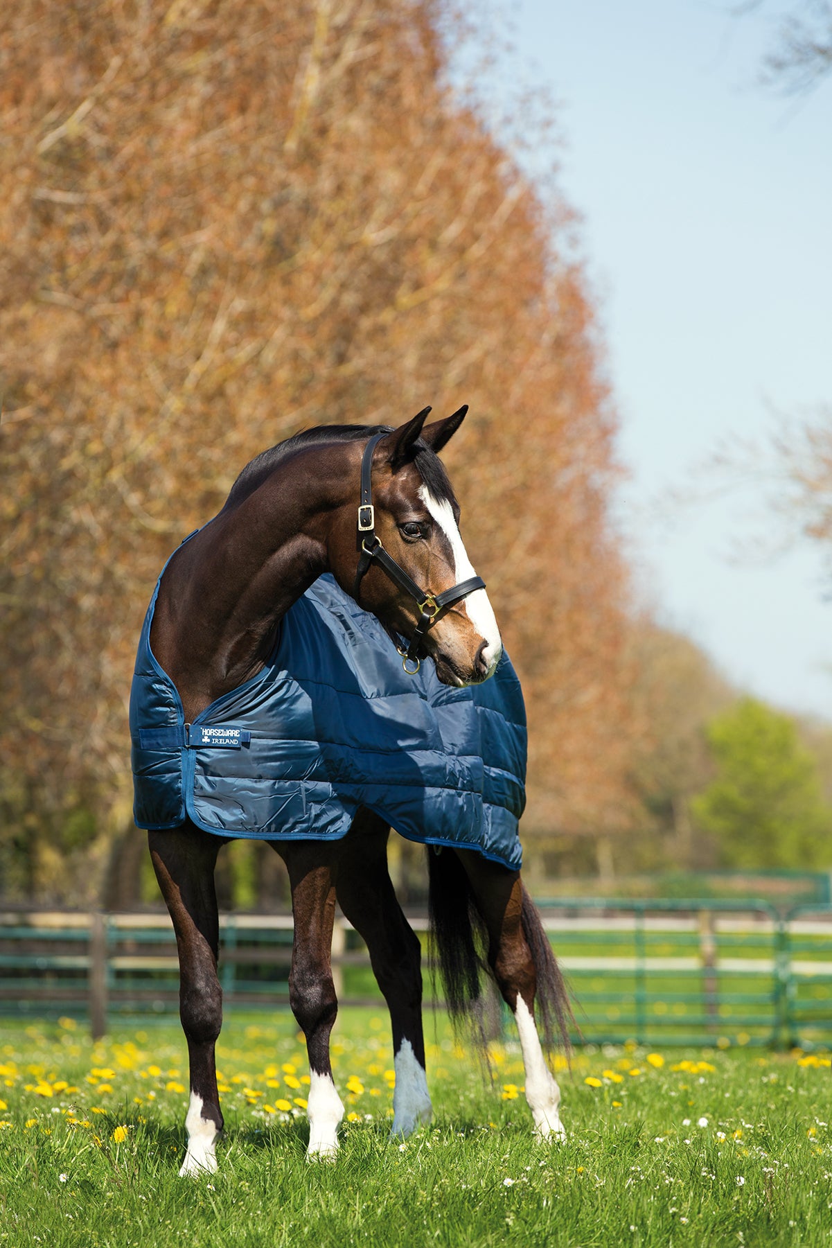Horseware Underblanket Navy blue