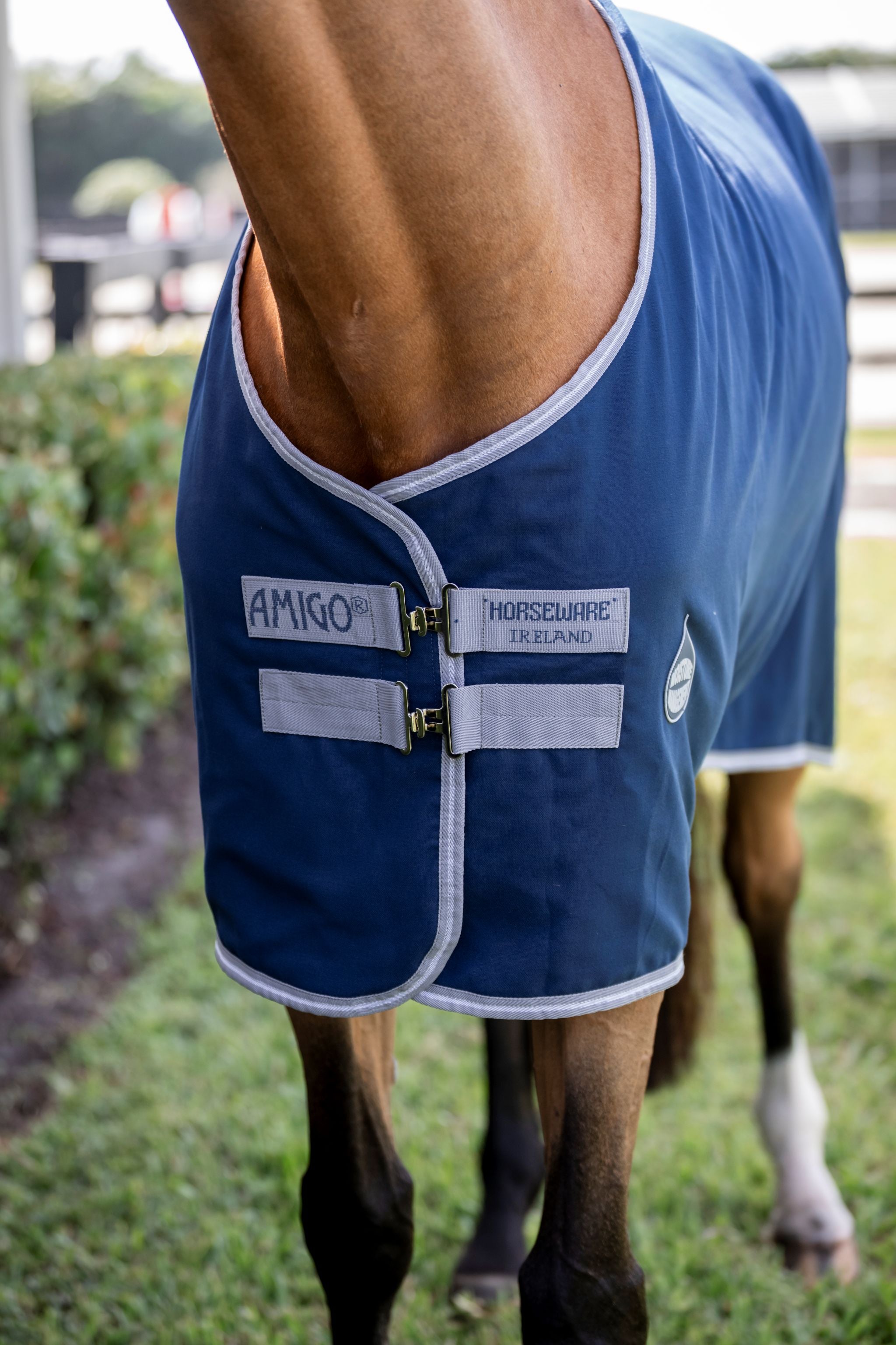 Horseware Amigo stable sheet Navy blue/grey