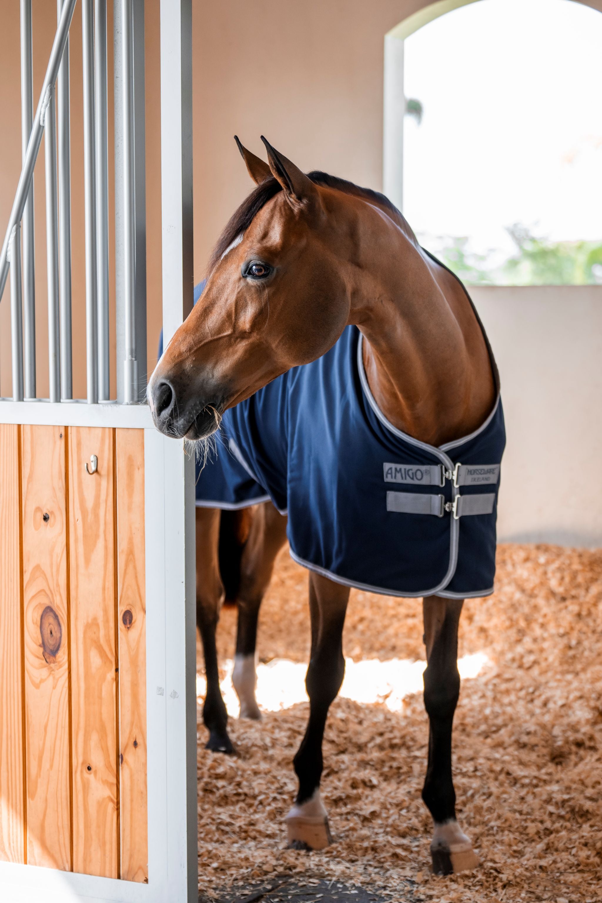 Horseware Amigo stable sheet Navy blue/grey