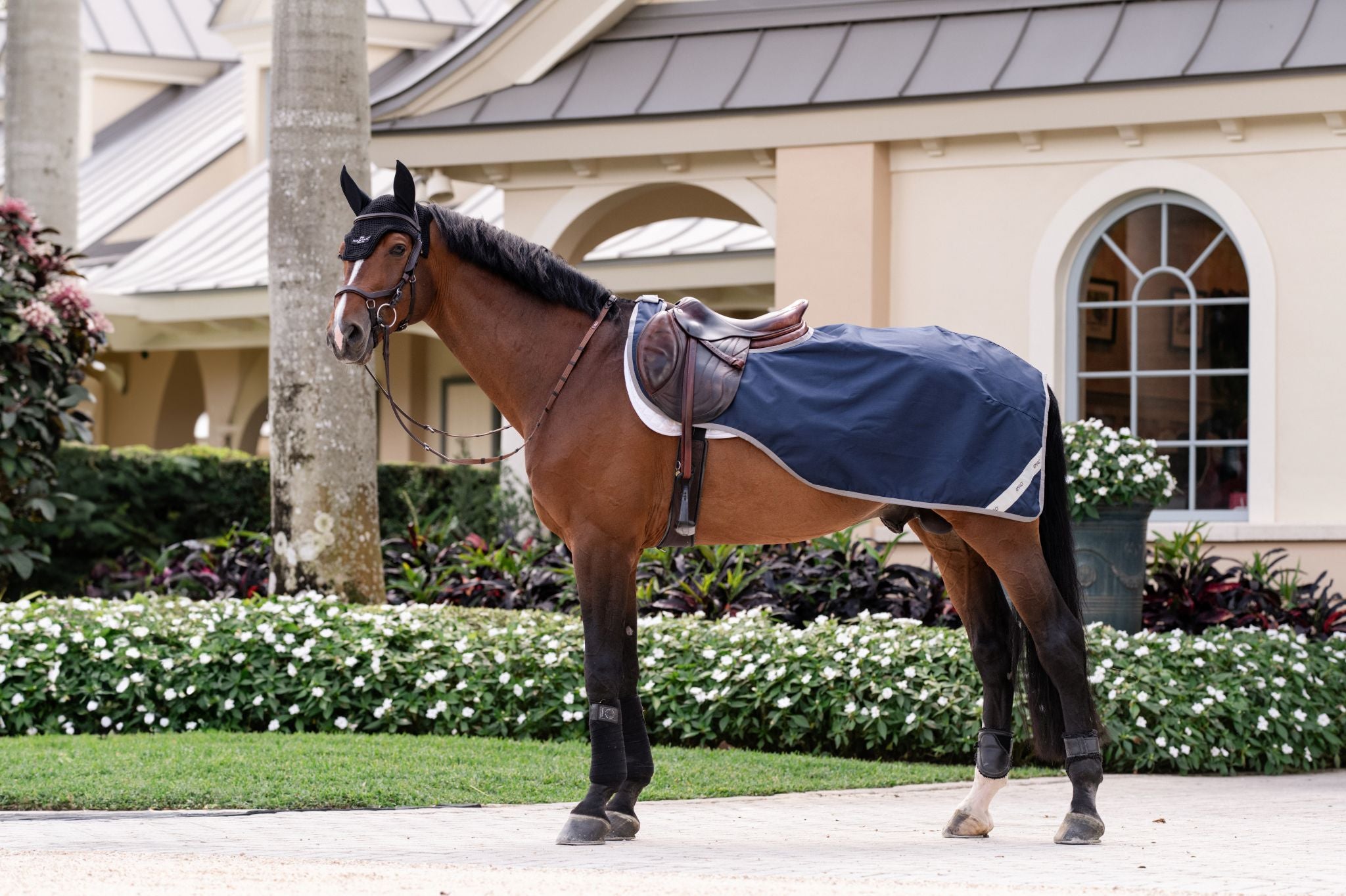 Horseware Amigo Ripstop Exercise sheet Navy blue/grey