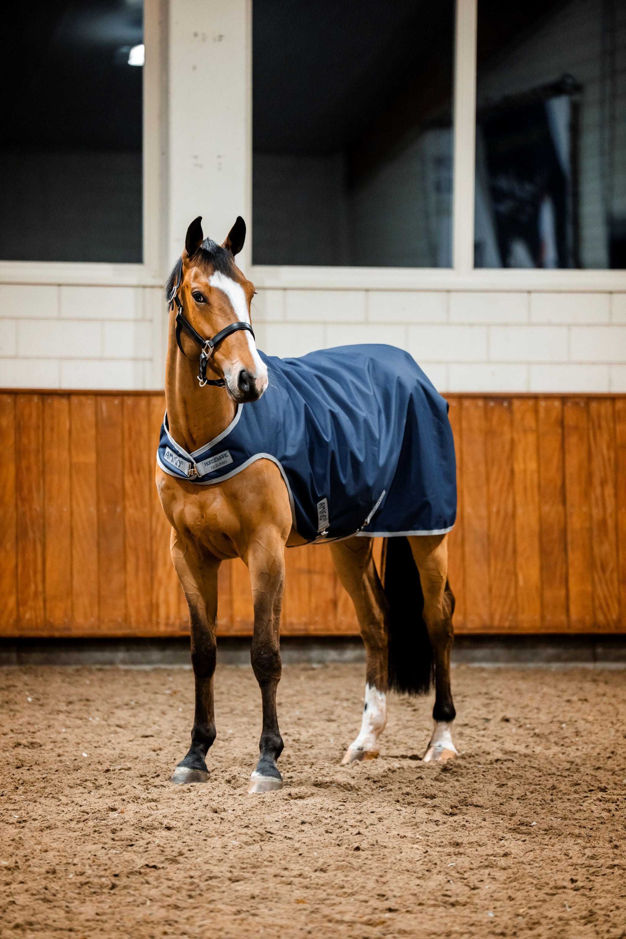 Horseware Amigo Ripstop walker rug Navy blue