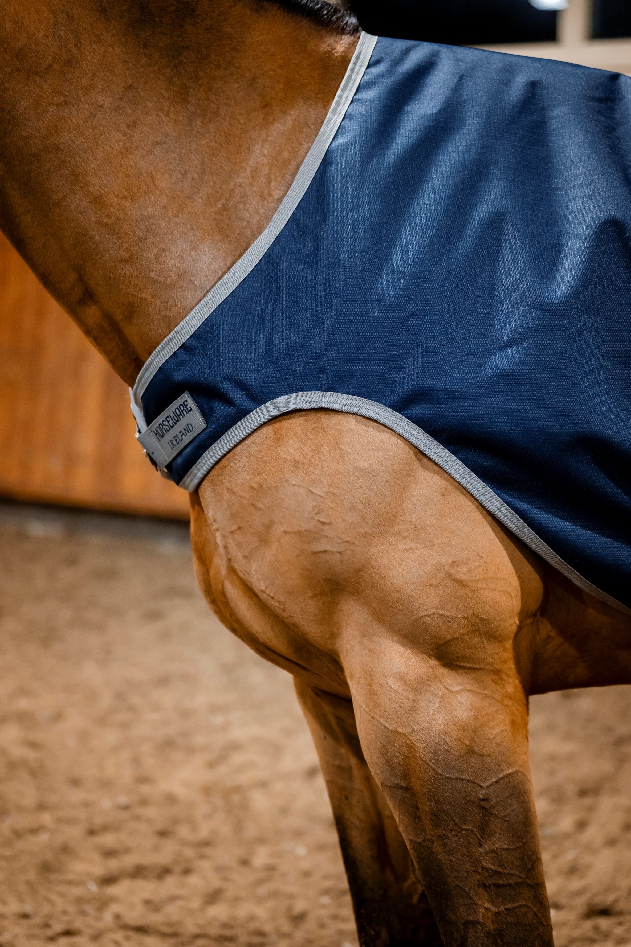 Horseware Amigo Ripstop walker rug Navy blue