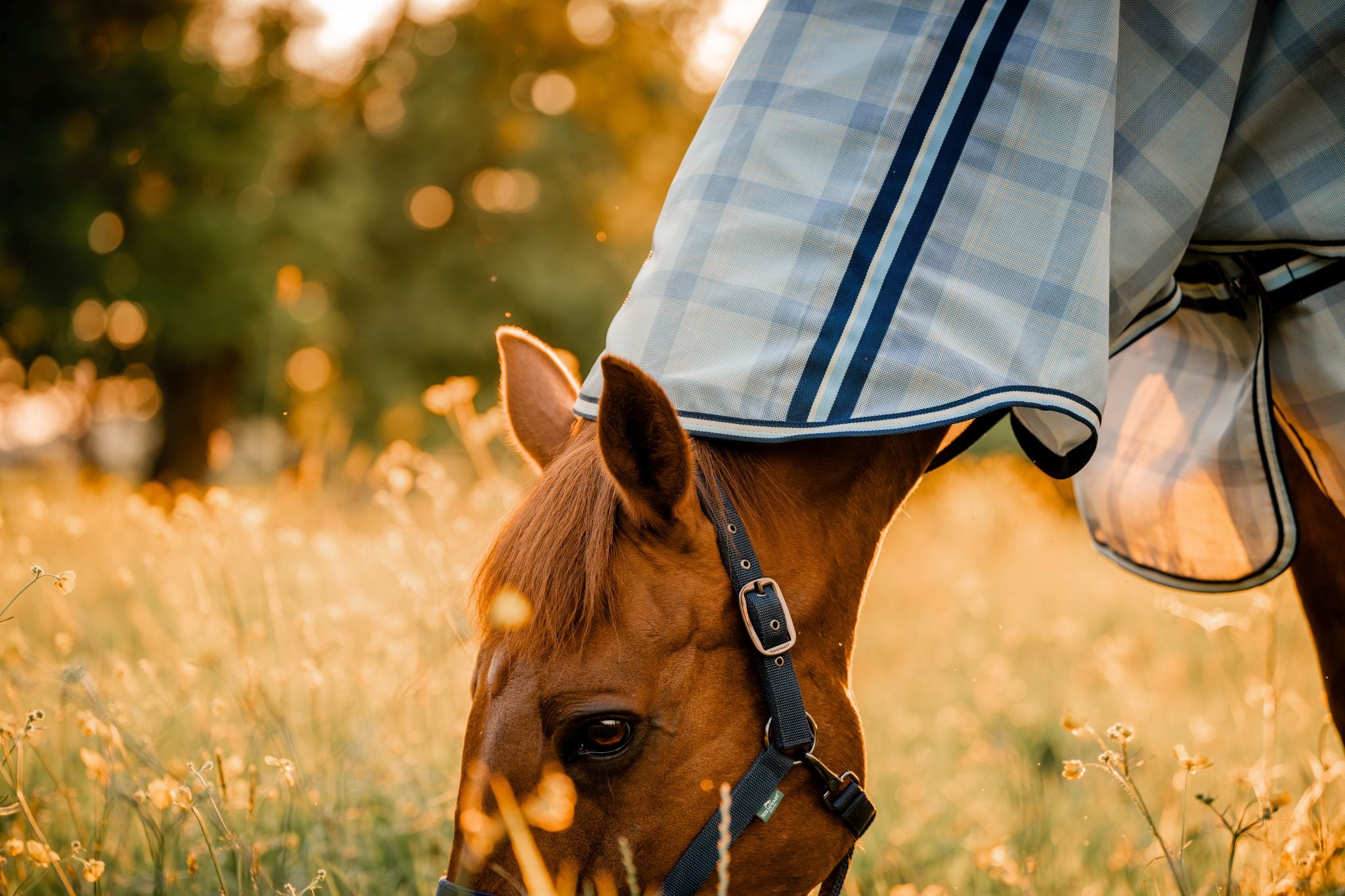 Horseware Newmarket Fly Sheet Navy blue