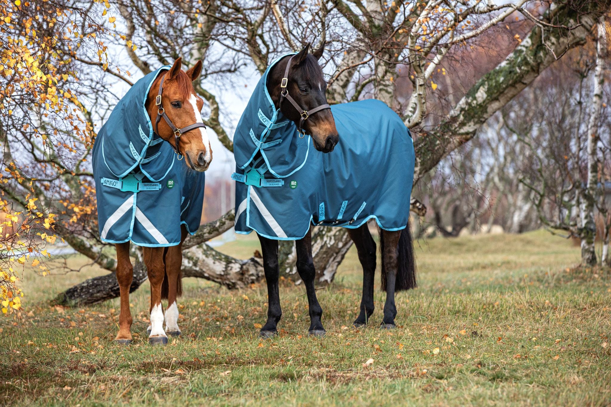 Horseware Ameco Bravo rug 1200D + Peacock blue