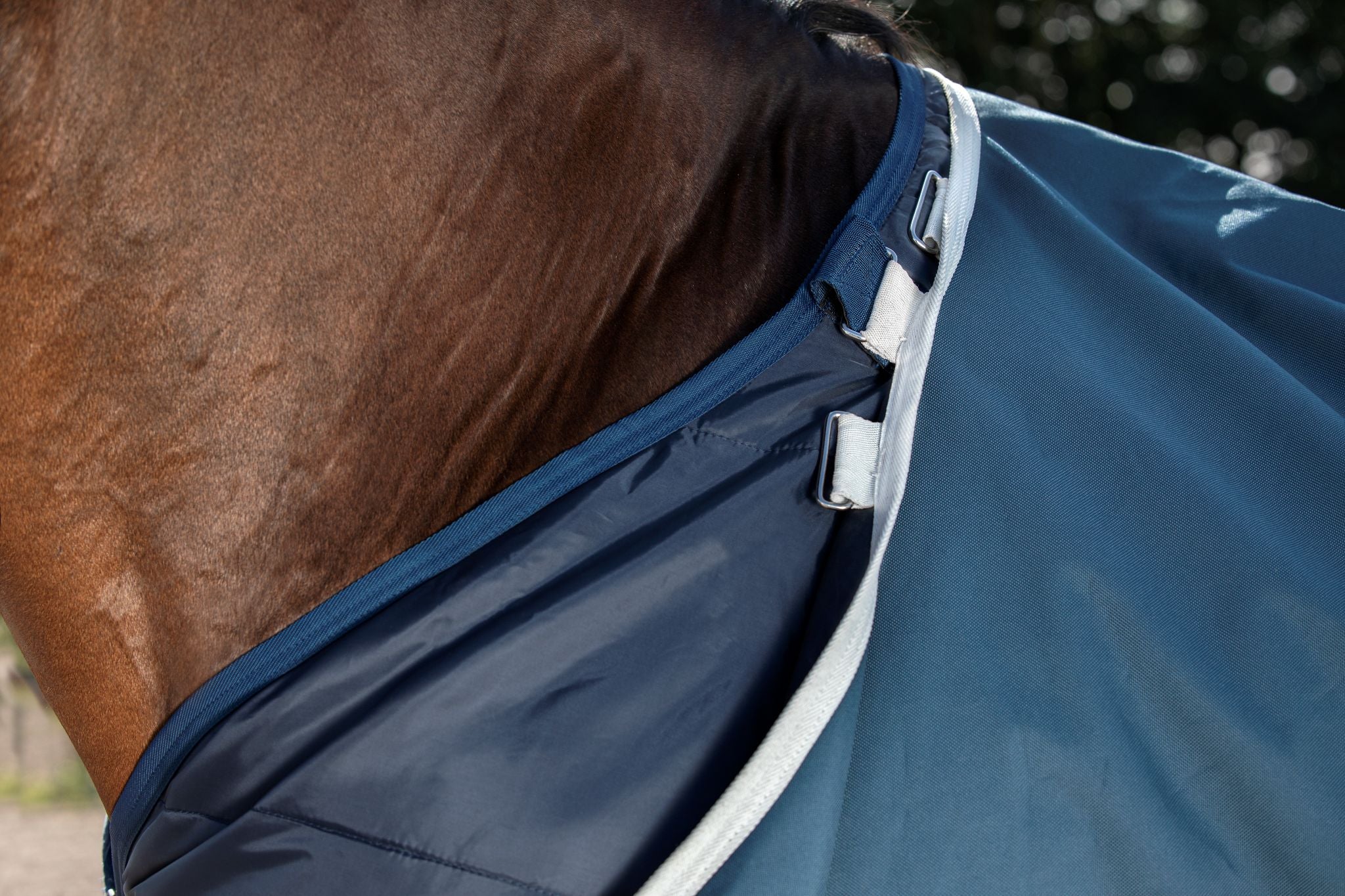 Horseware Ameco Bravo rug 1200D + Peacock blue