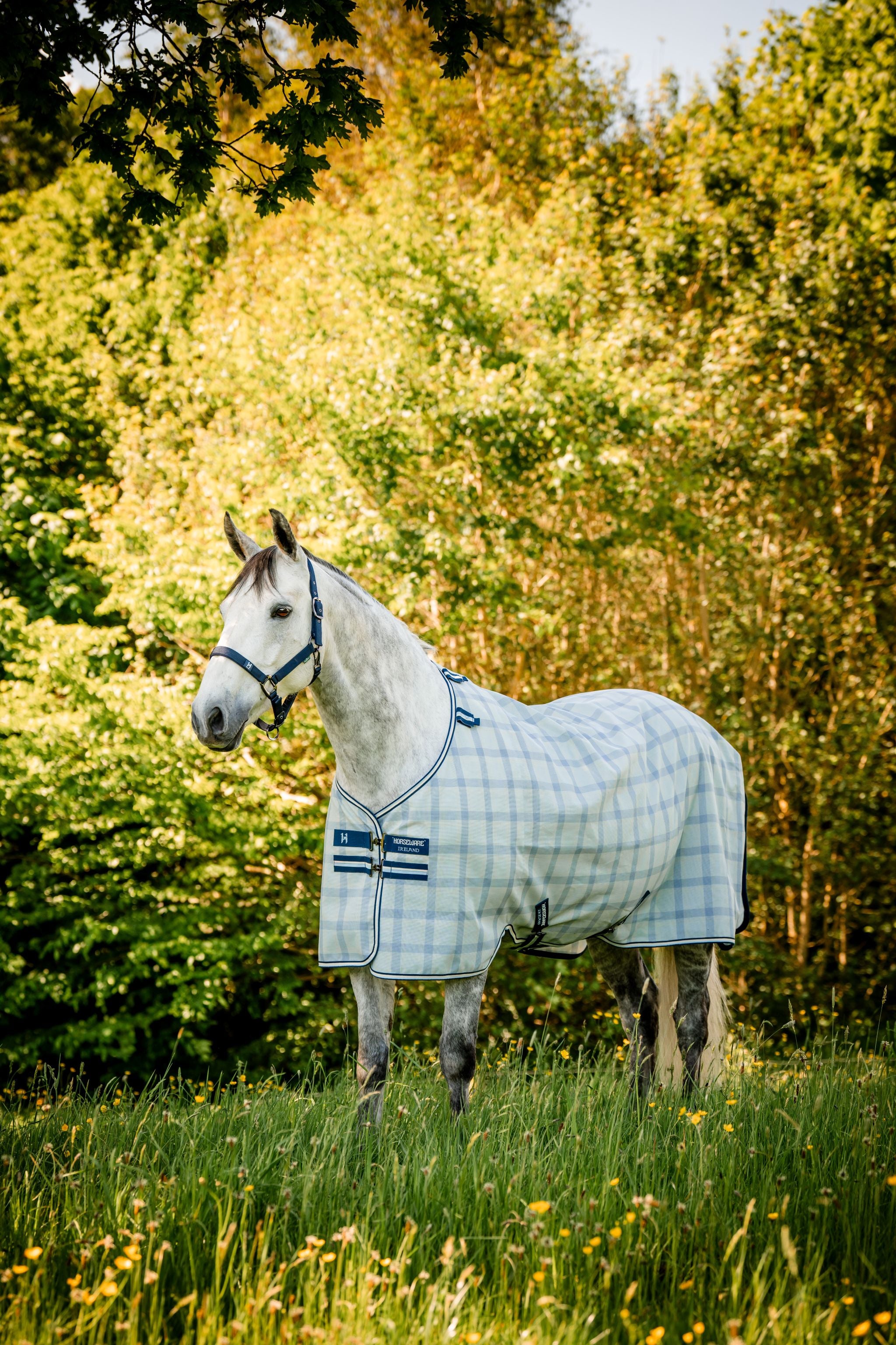 Horseware Newmarket Fly Sheet Navy blue