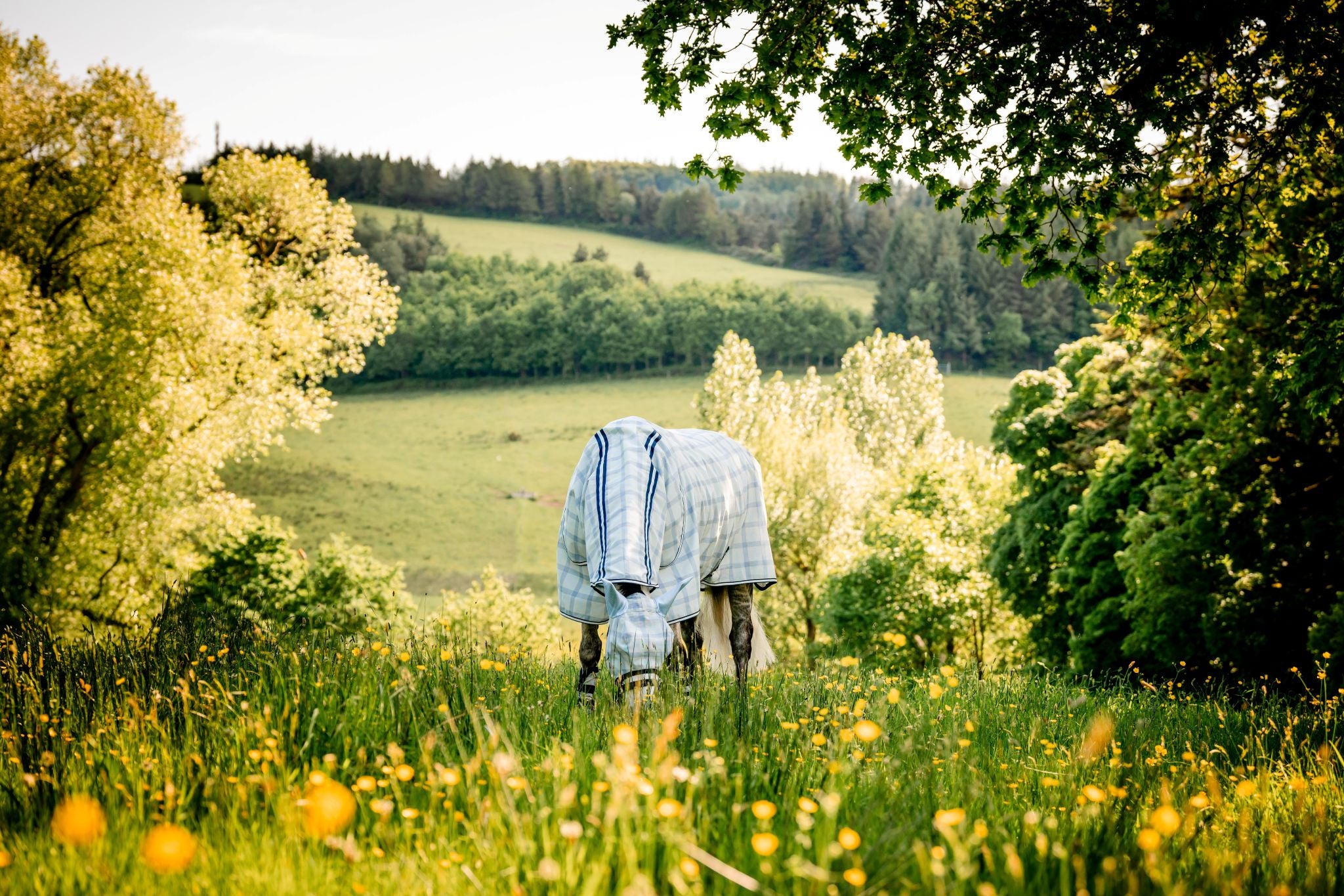 Horseware Newmarket Fly Sheet Navy blue