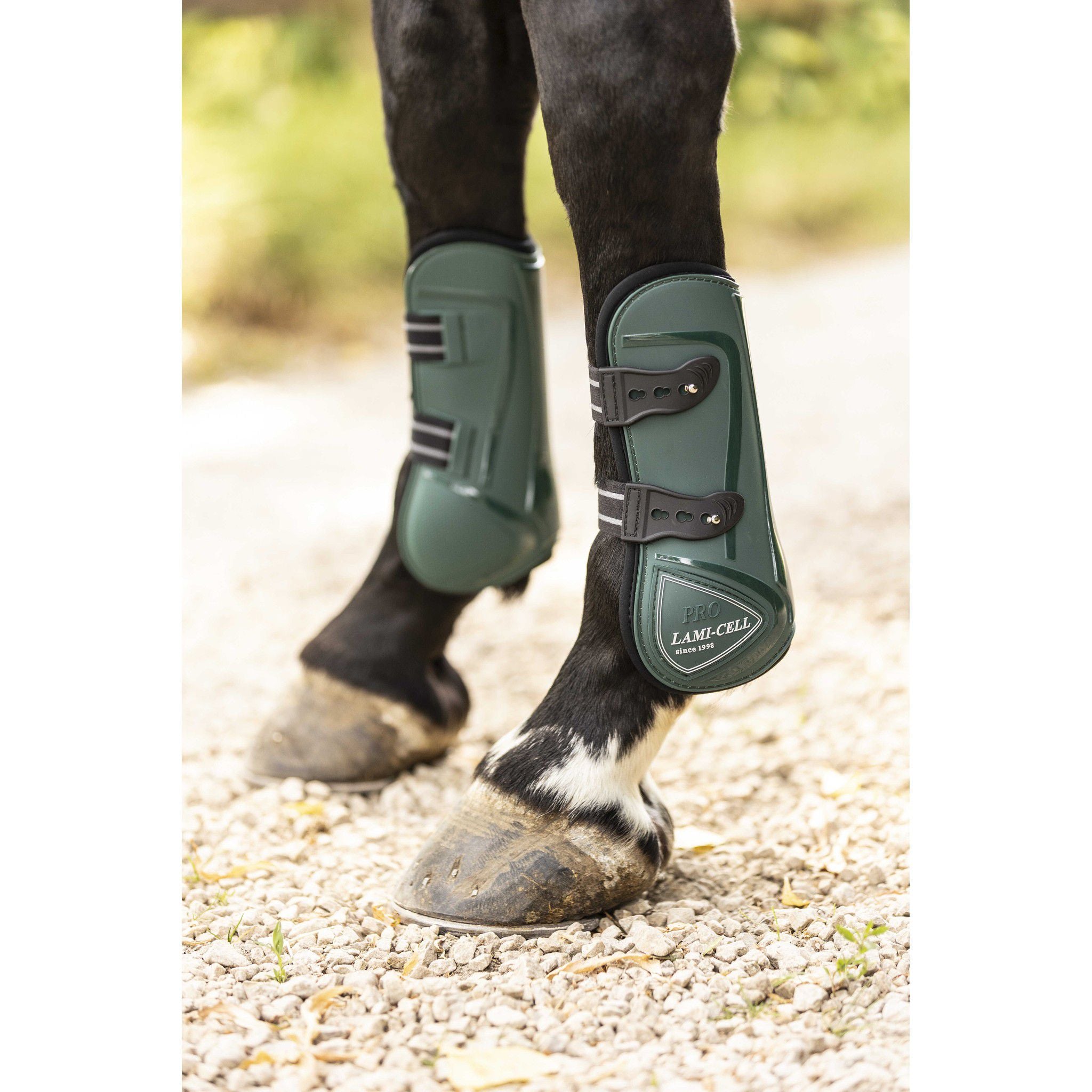 Lami-Cell Elite Fetlock and Tendon Boots Dark green 550141309