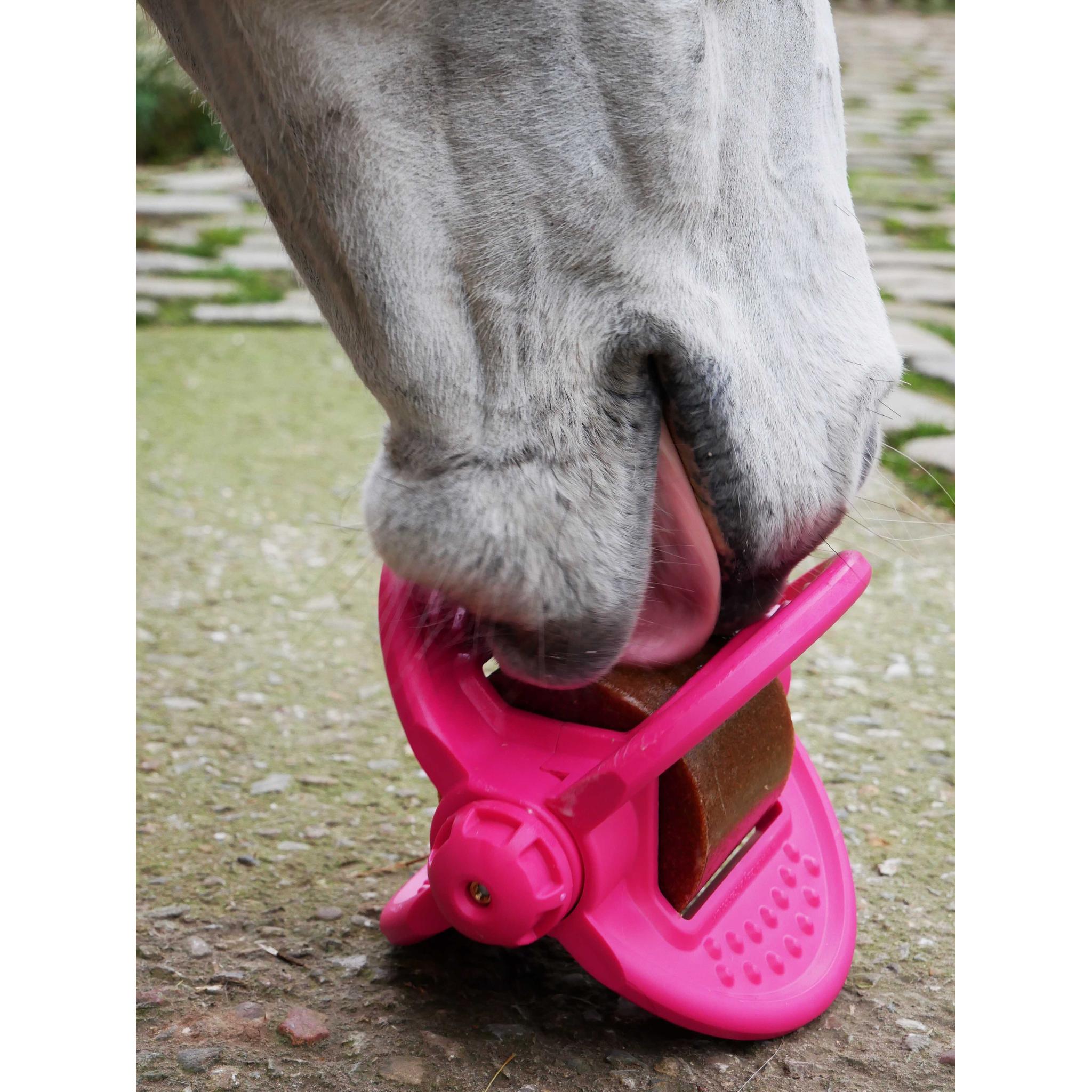 Bizzy Ball Holder Fuchsia - 380080052_ambi_1