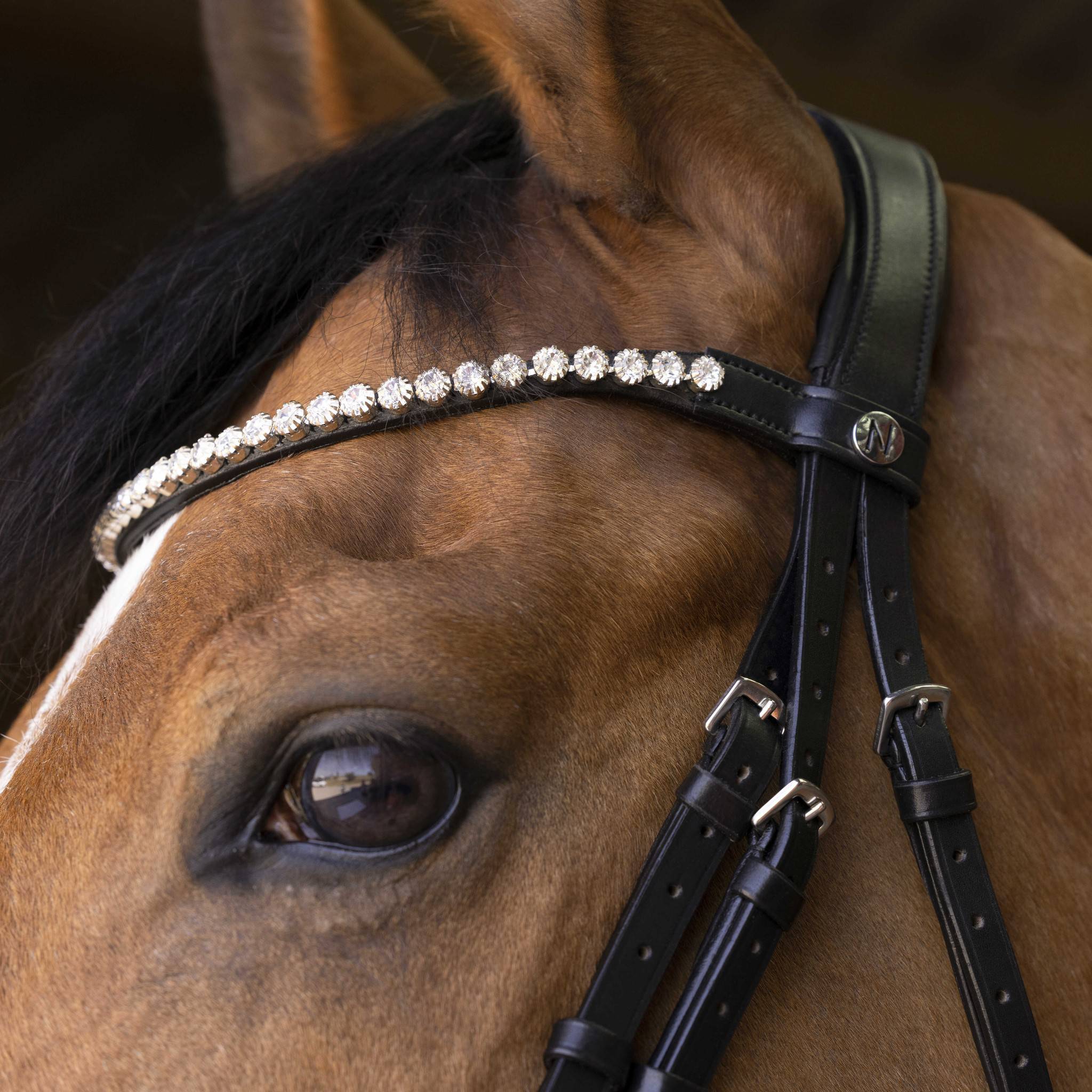 Norton Pro Bella Bridle Black 301891302