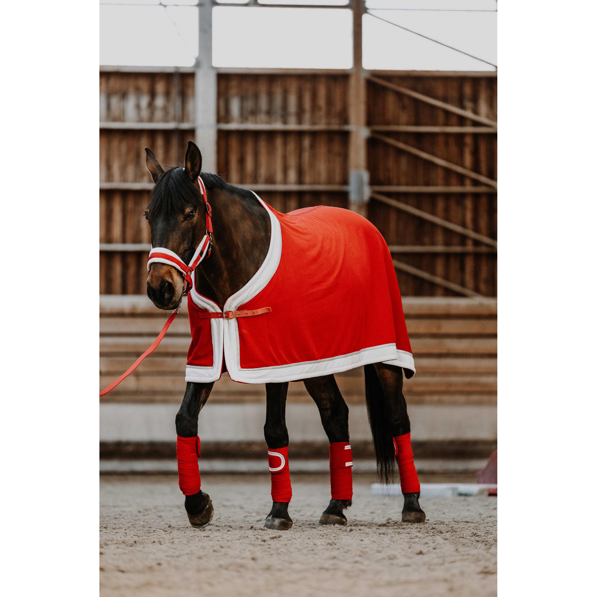 EQUITHÈME Xmas Fleece Sheet Red 400768363