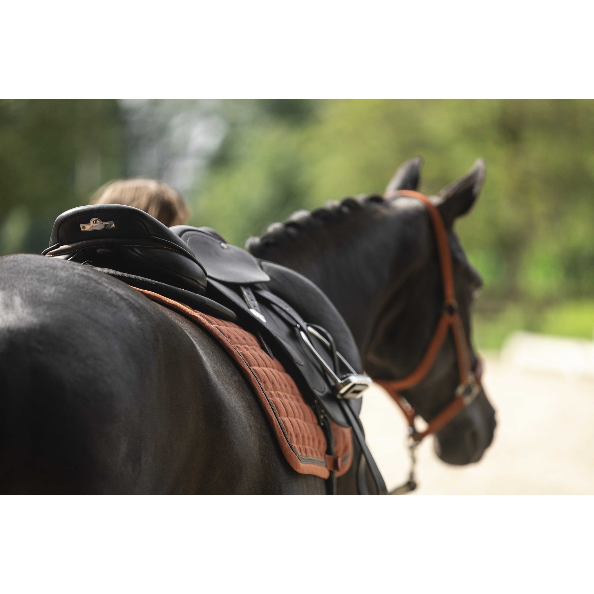 Lami-Cell Vintage saddle pad - All purpose Orange 220025022