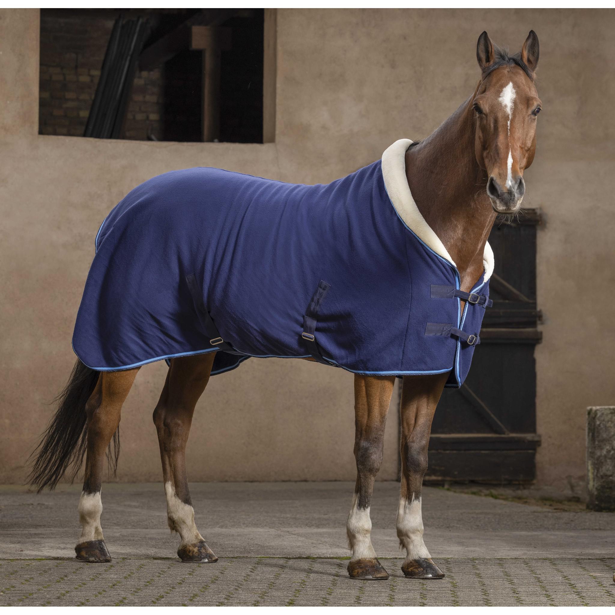 Riding World Confort Sheet Navy blue 400042763
