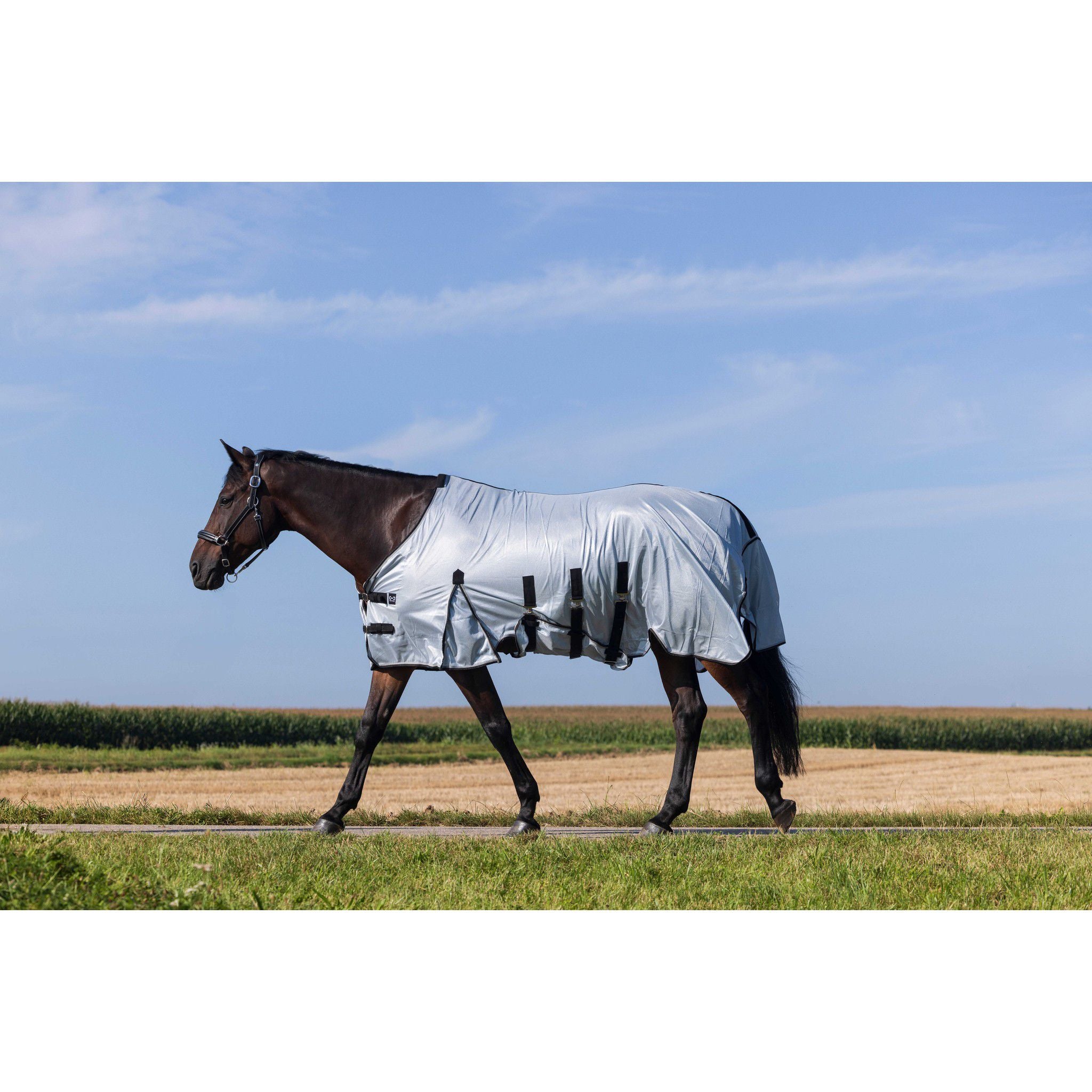Riding World Belly Mesh Sheet - Standard Grey 400723063
