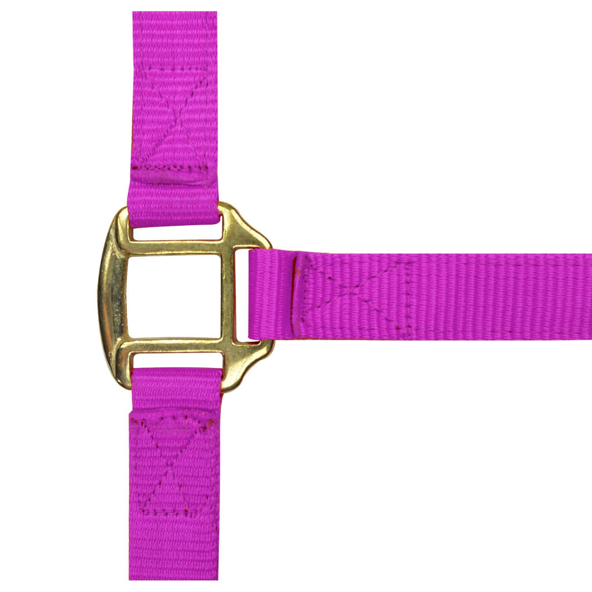 Norton Leather lined nylon headcollar Fuchsia 510185032
