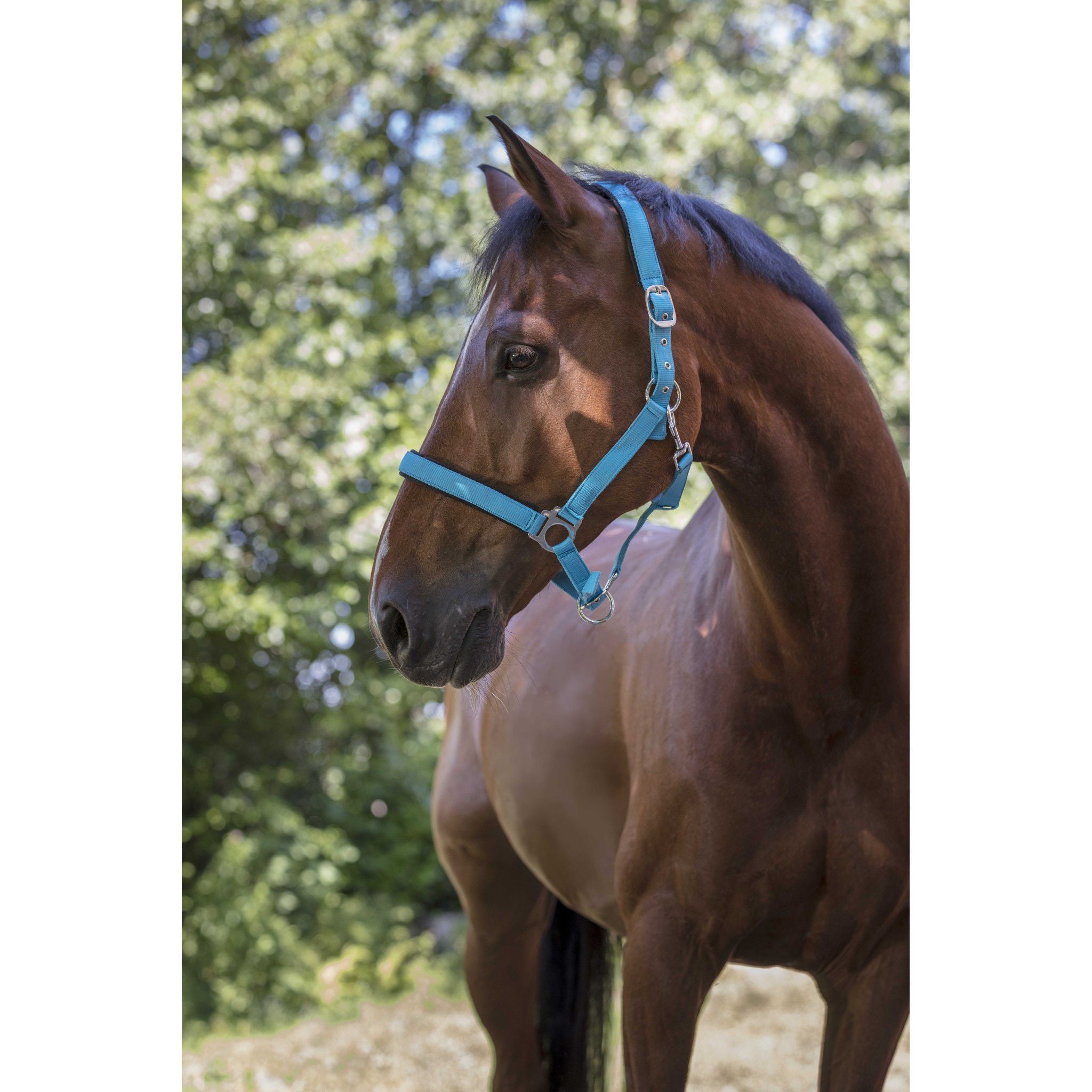Norton Fluo Lined Halter Blue 510013336