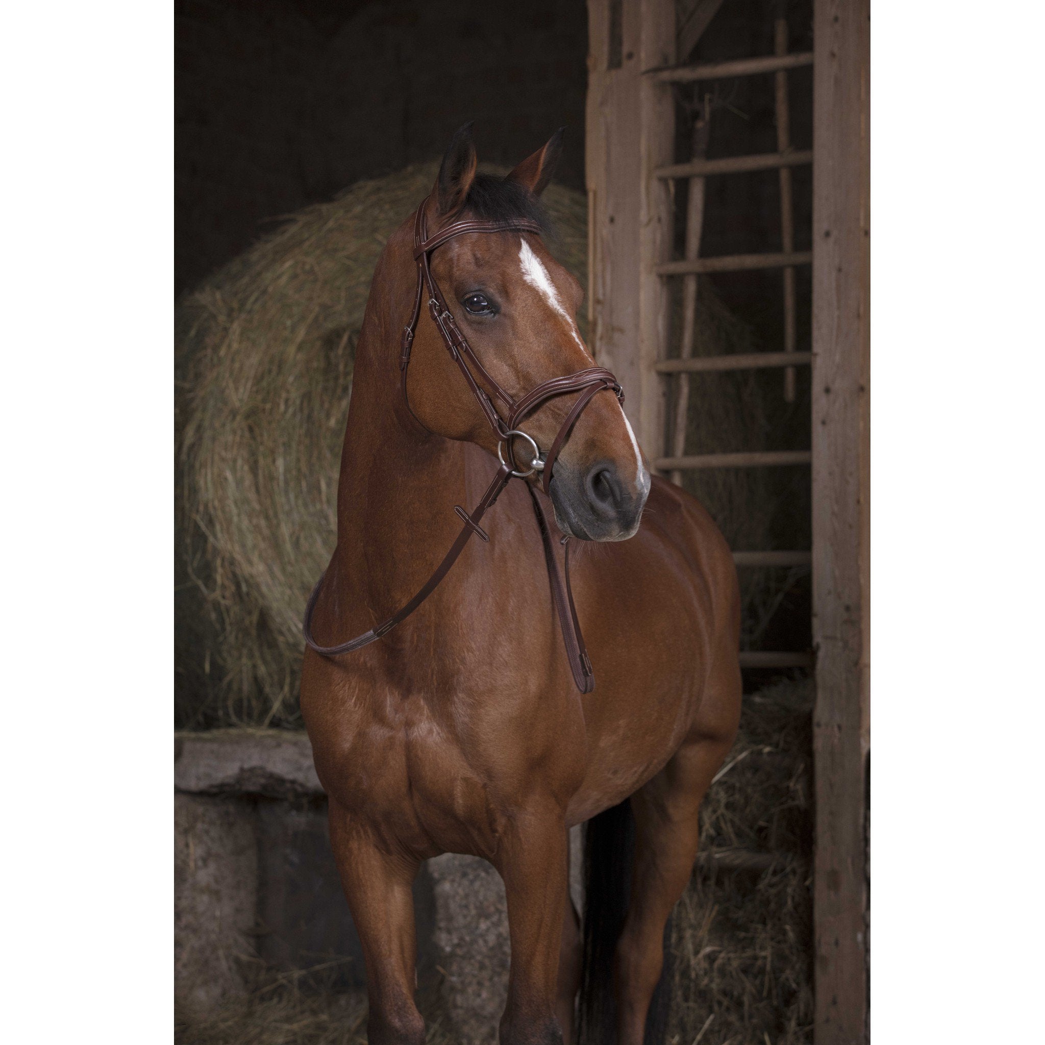 Rubber Reins Norton Pro Havana 305631318