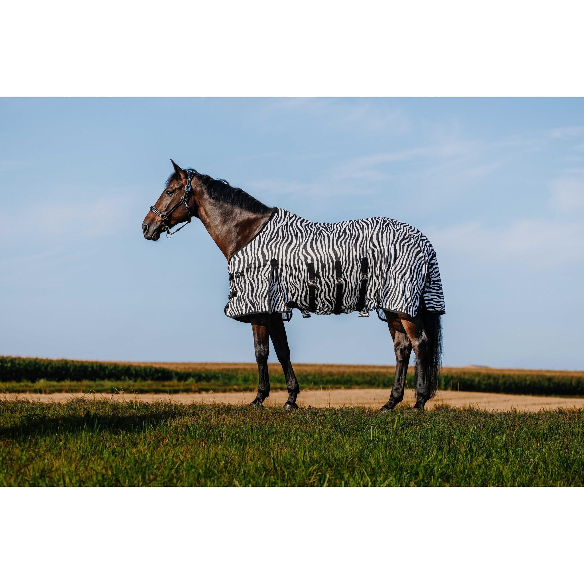 Riding World Belly Mesh Sheet - Standard Zebra 400725063