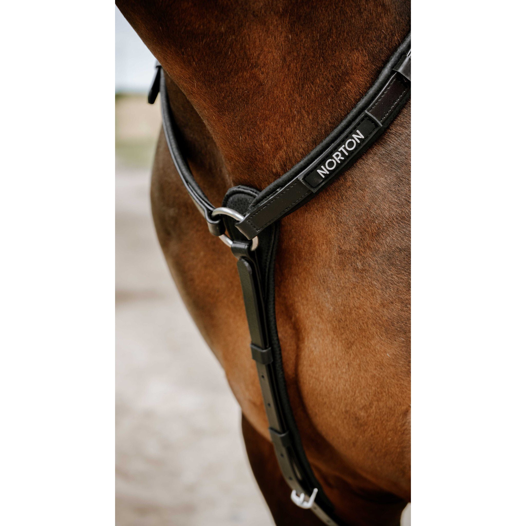 Norton Pop Breastplate Black 306617302