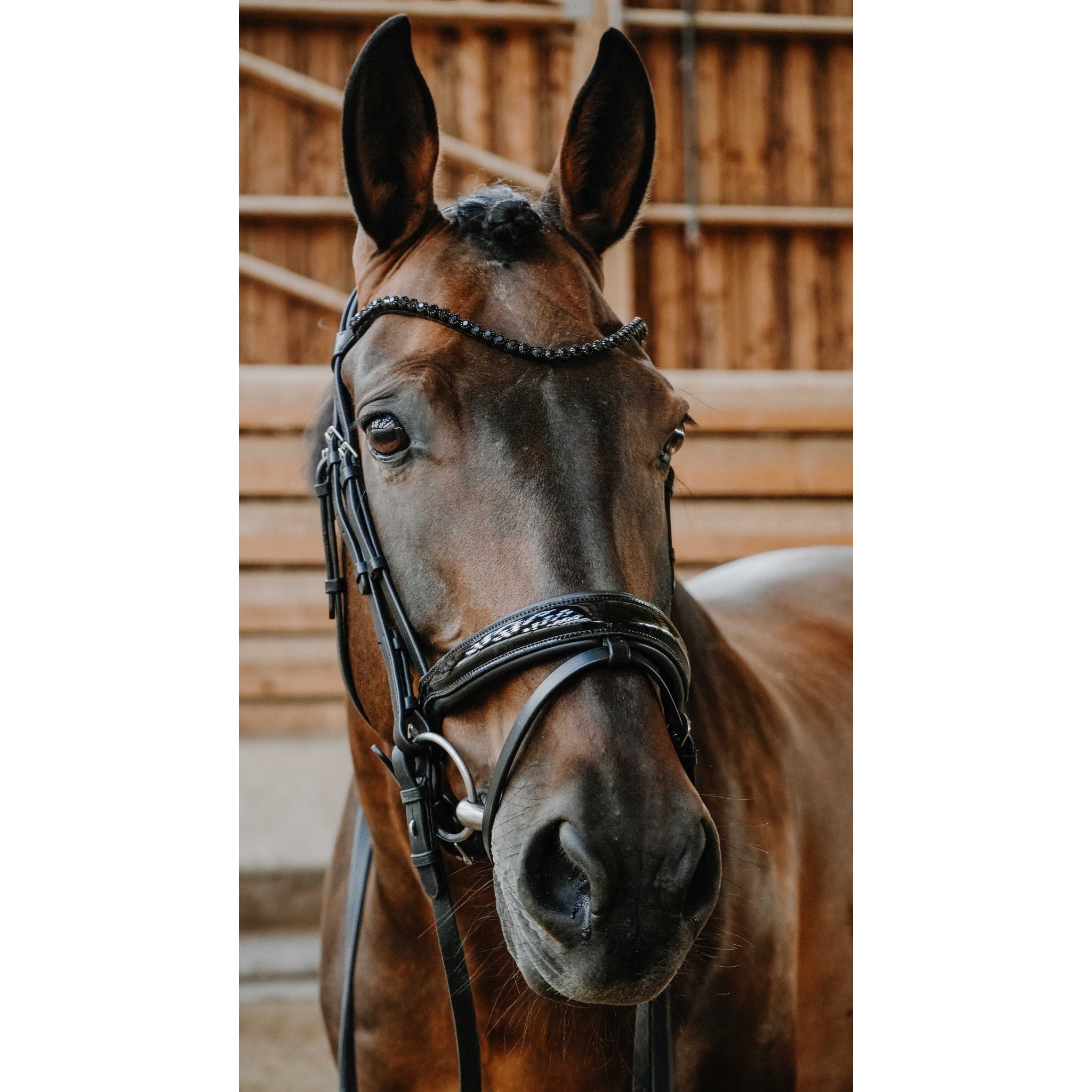 Norton Pro Royal Bridle Black 301842302