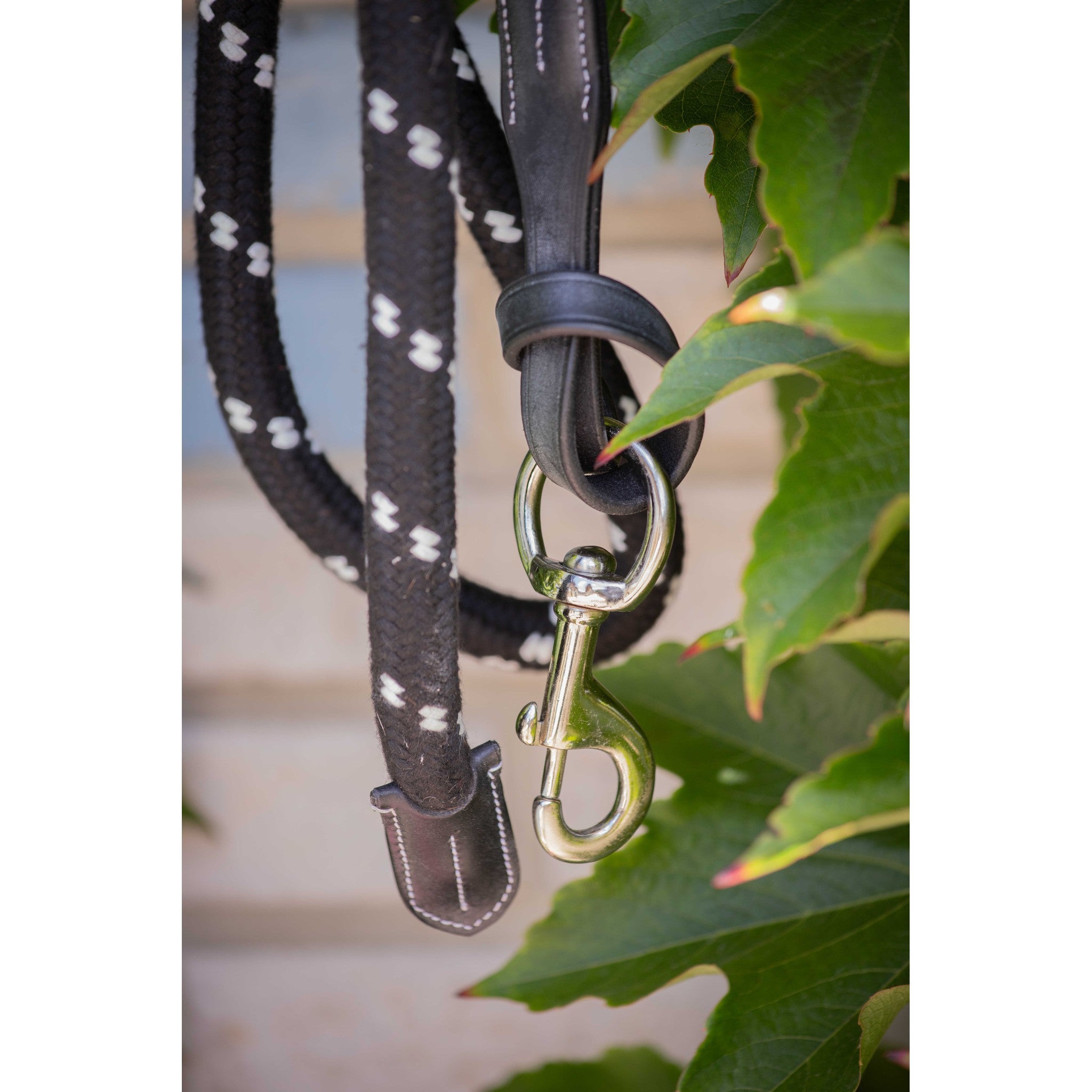 Pénélope rope and leather Lead Rope Black 520801002
