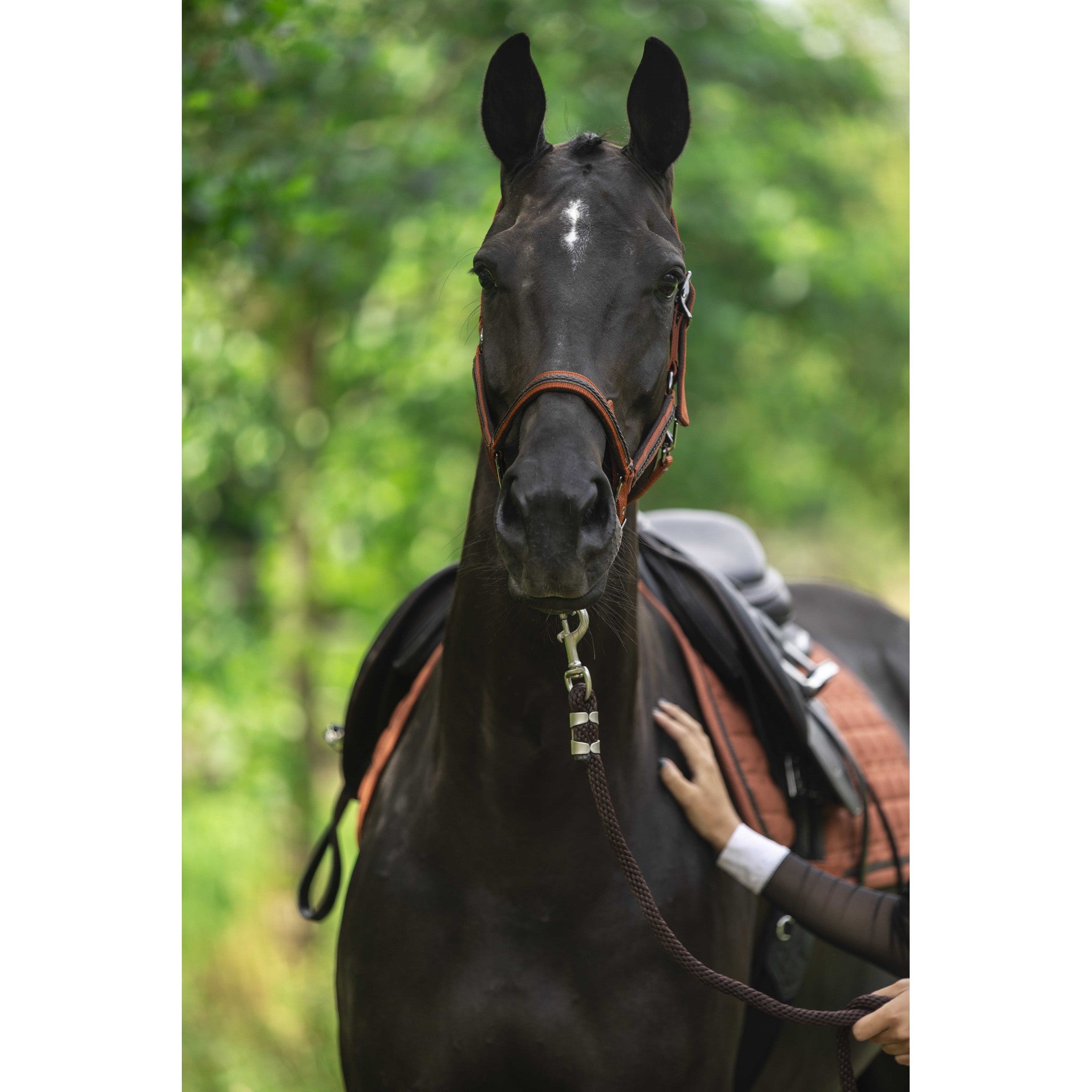Lami-Cell Vintage saddle pad - All purpose Orange 220025022