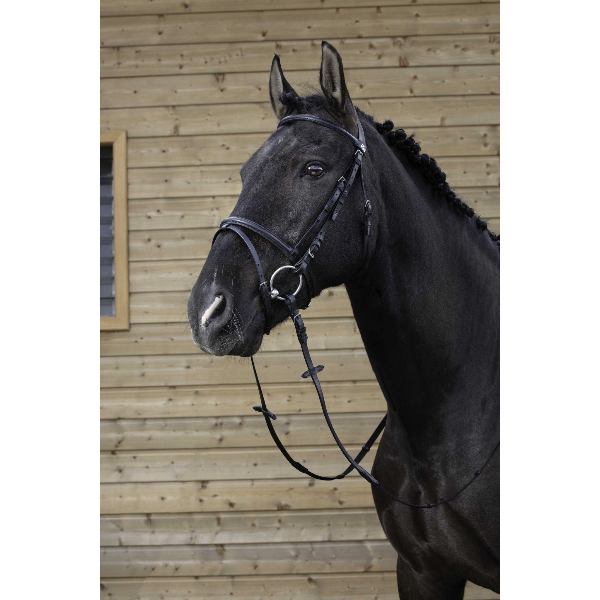 Bridle Riding World combined Black 301004302